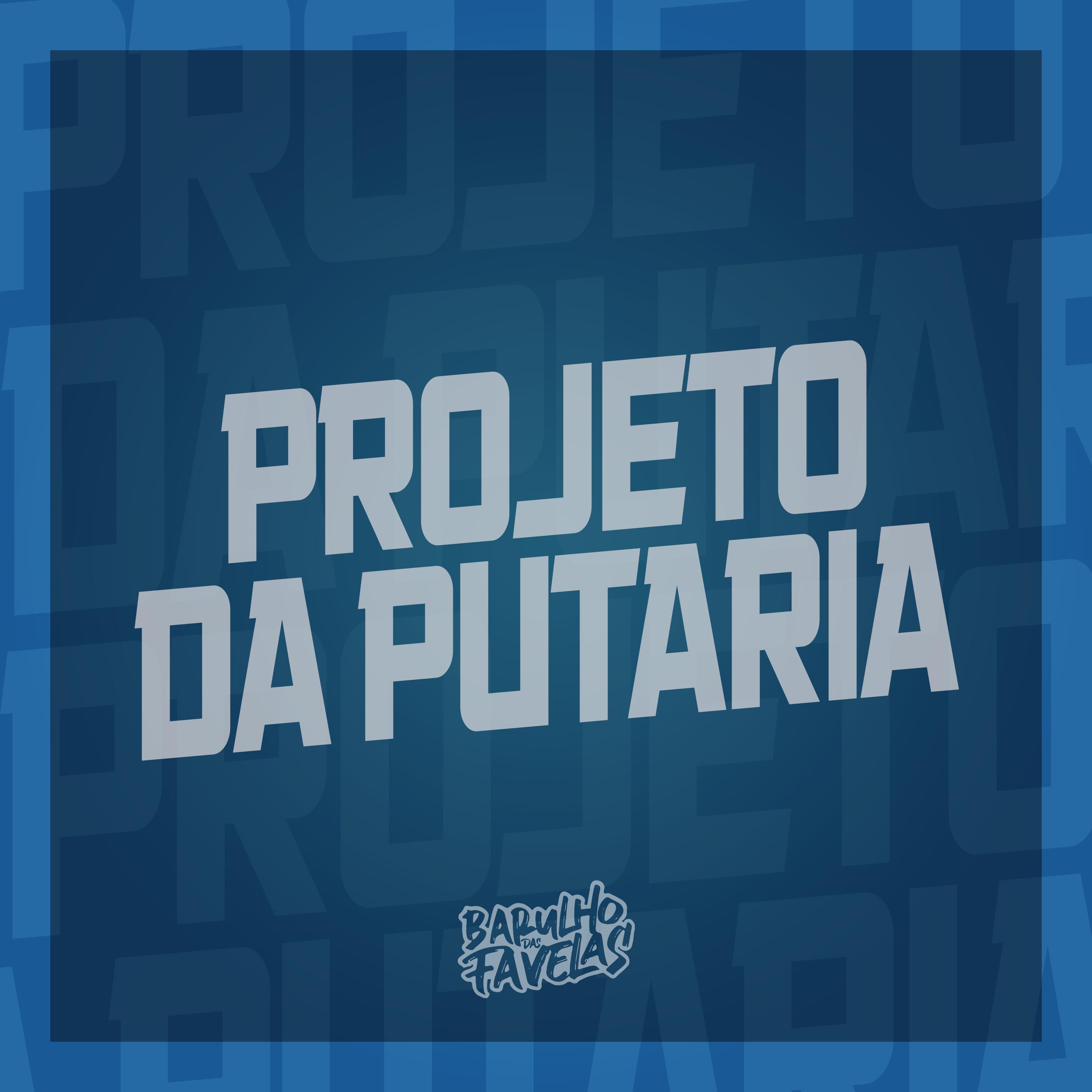 Постер альбома Projeto da Putaria