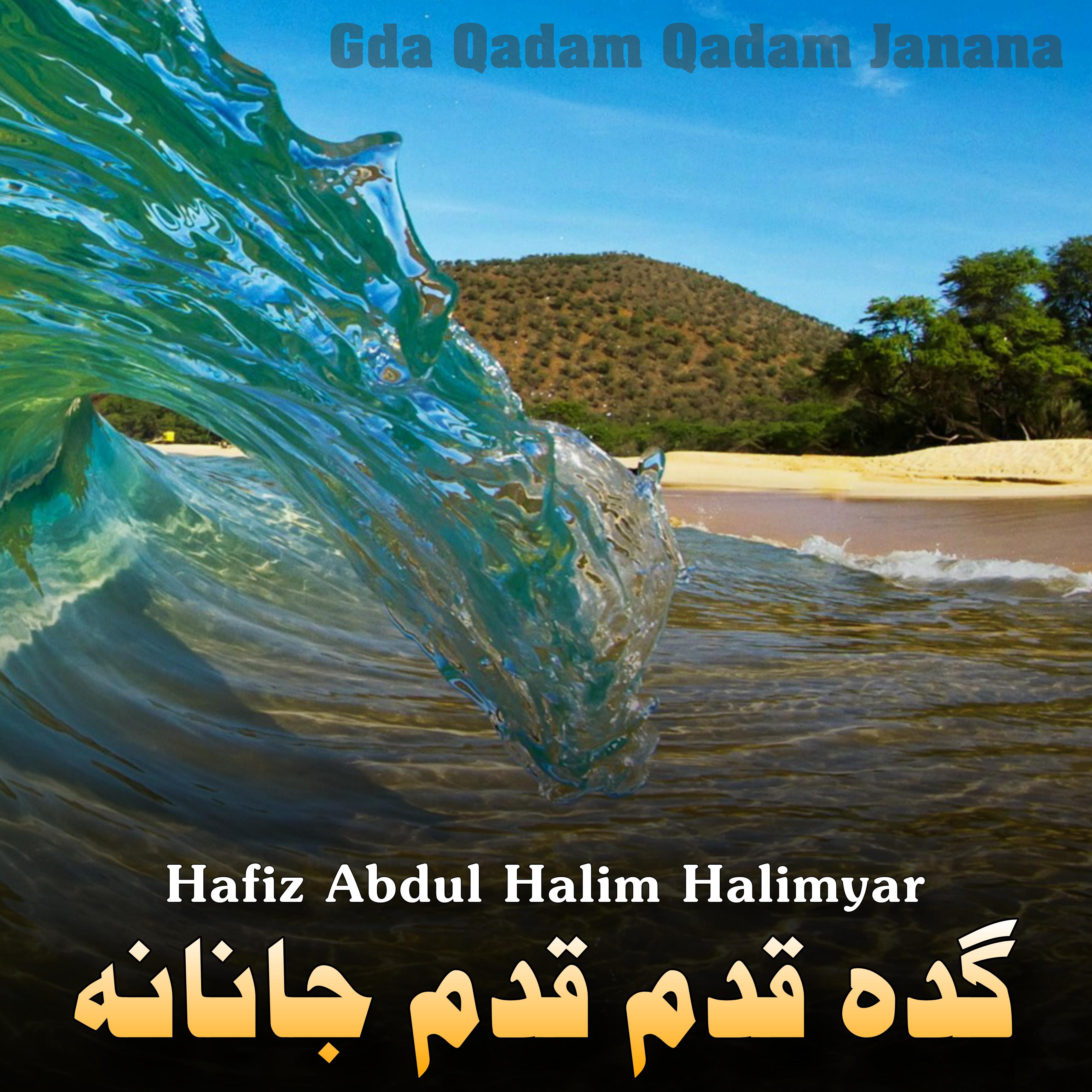 Постер альбома Gda Qadam Qadam Janana