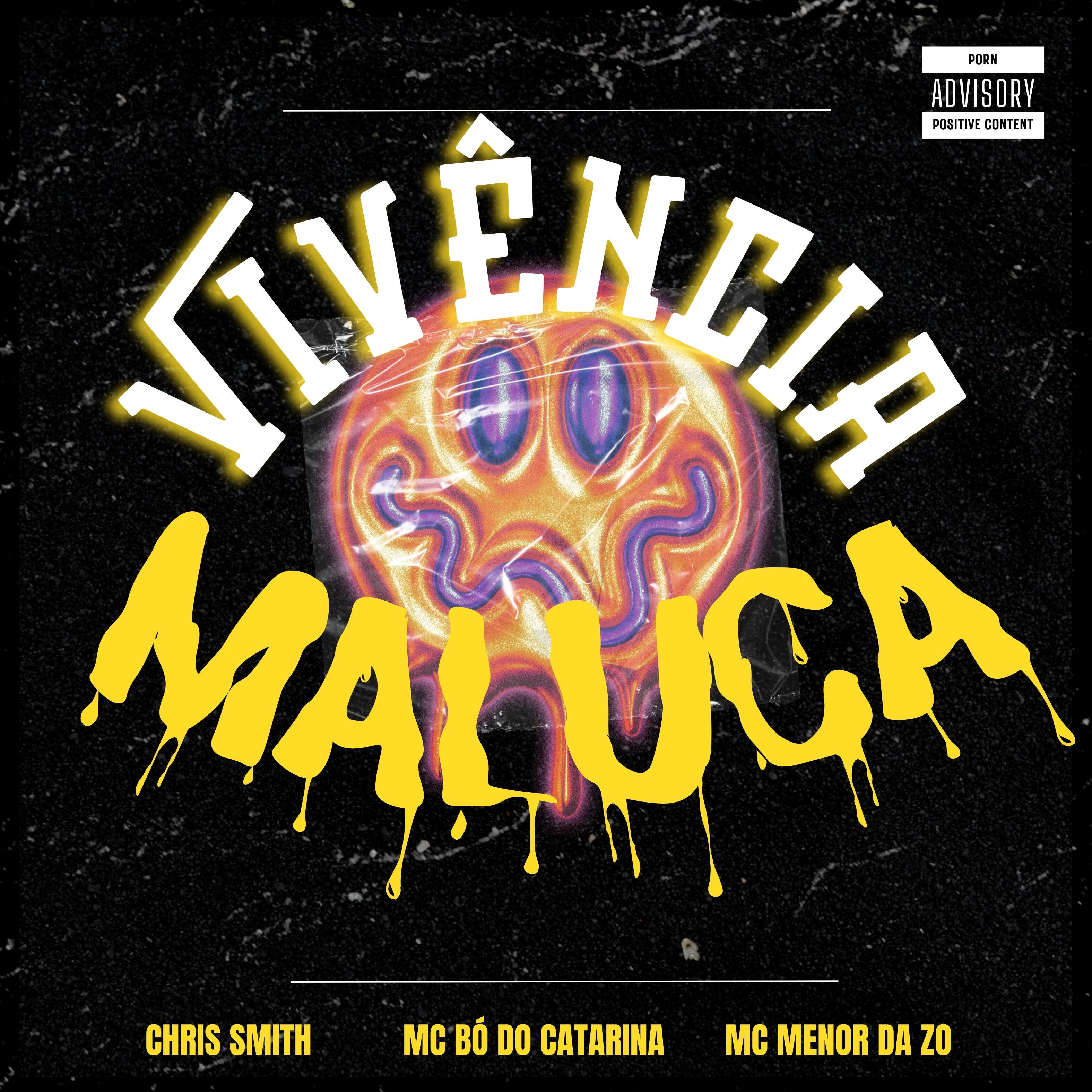 Постер альбома Vivência Maluca