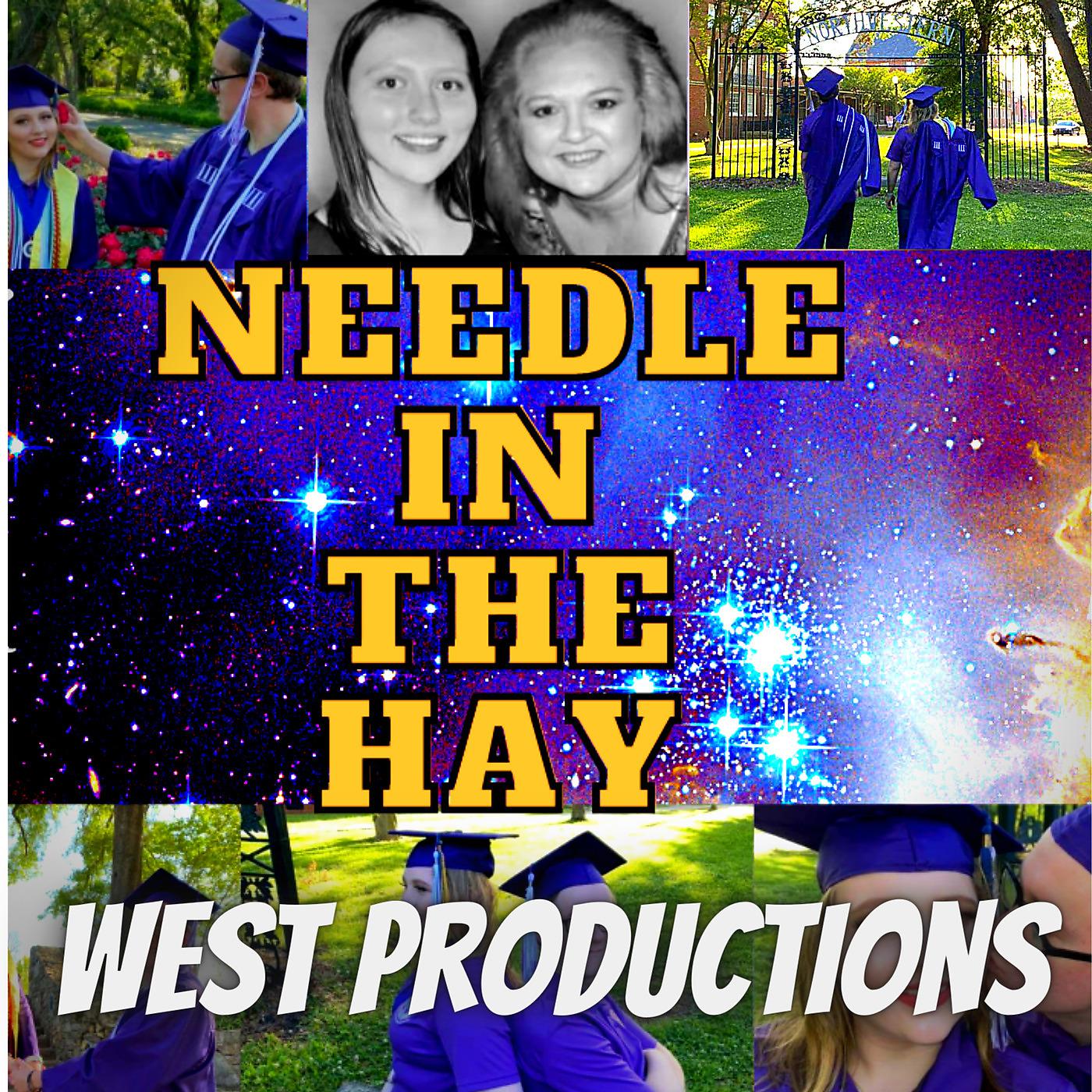 Постер альбома Needle in the Hay