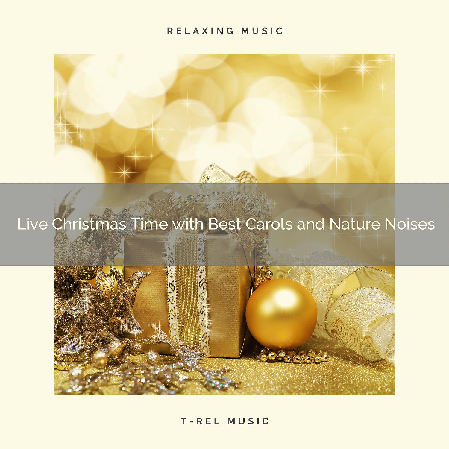 Постер альбома Live Christmas Time with Best Carols and Nature Noises