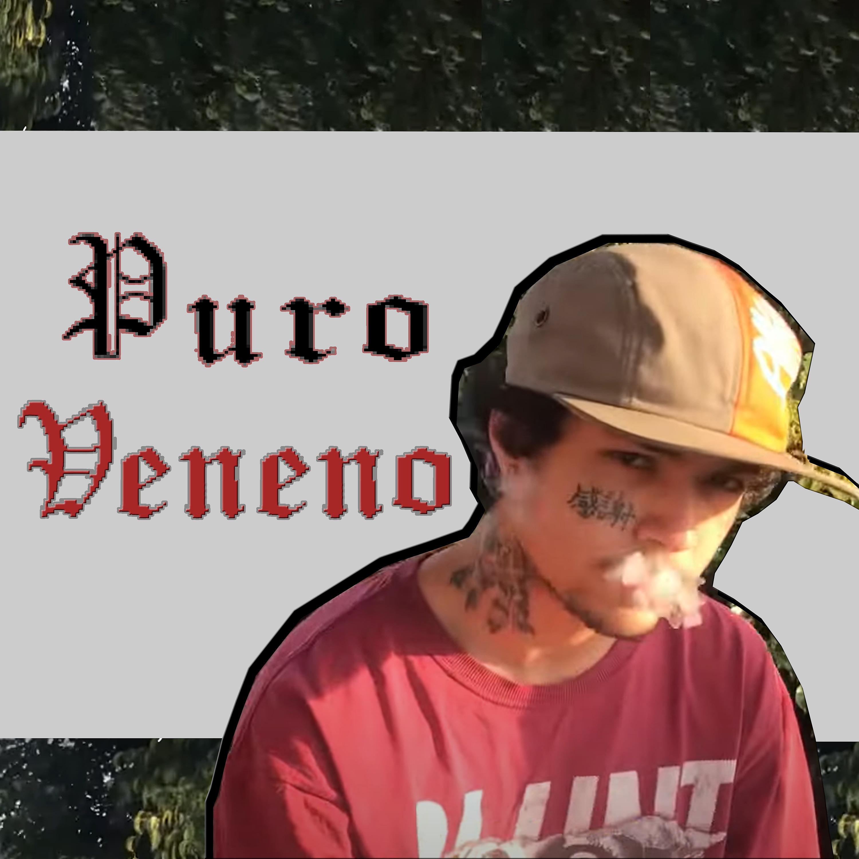 Постер альбома Puro Veneno