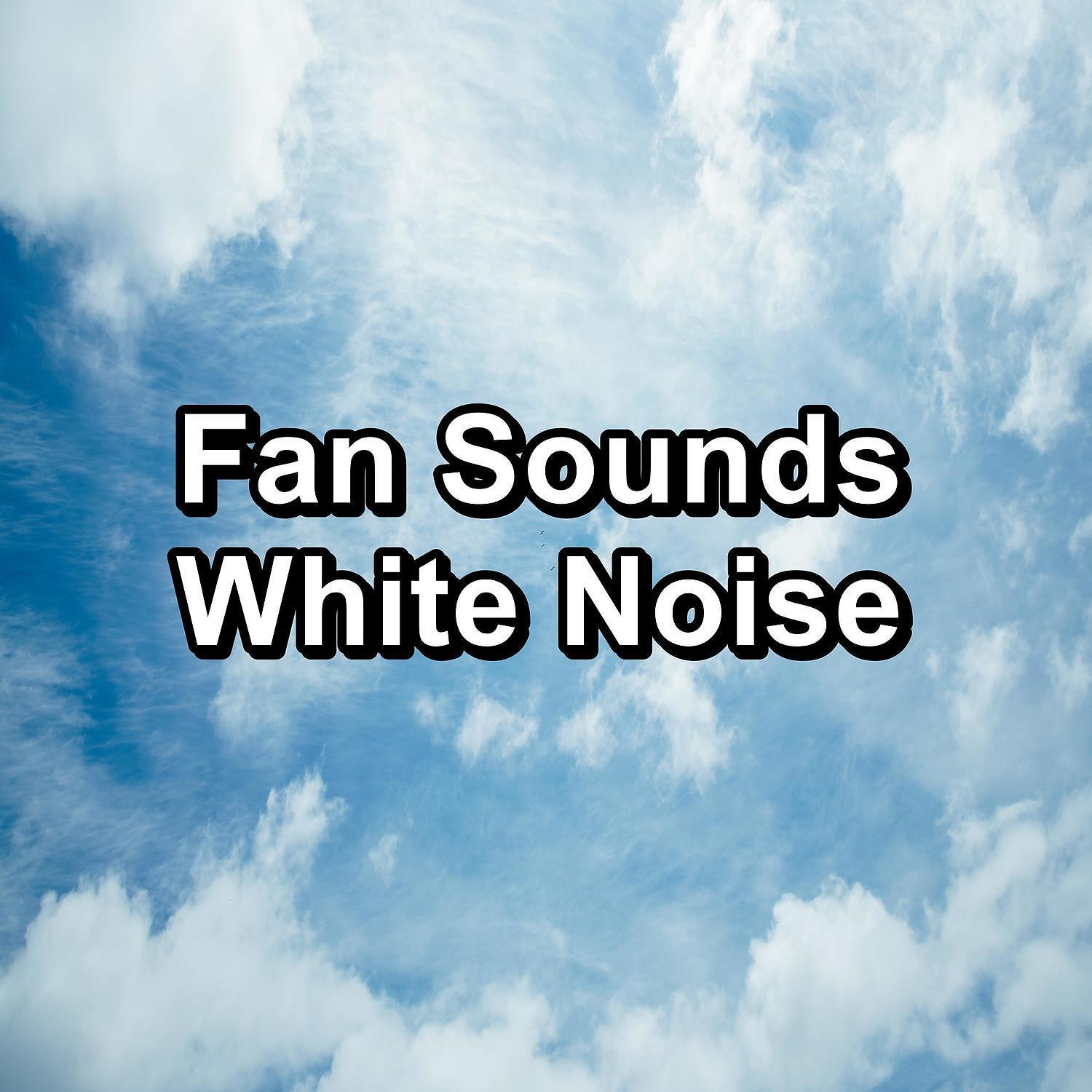 Постер альбома Fan Sounds White Noise