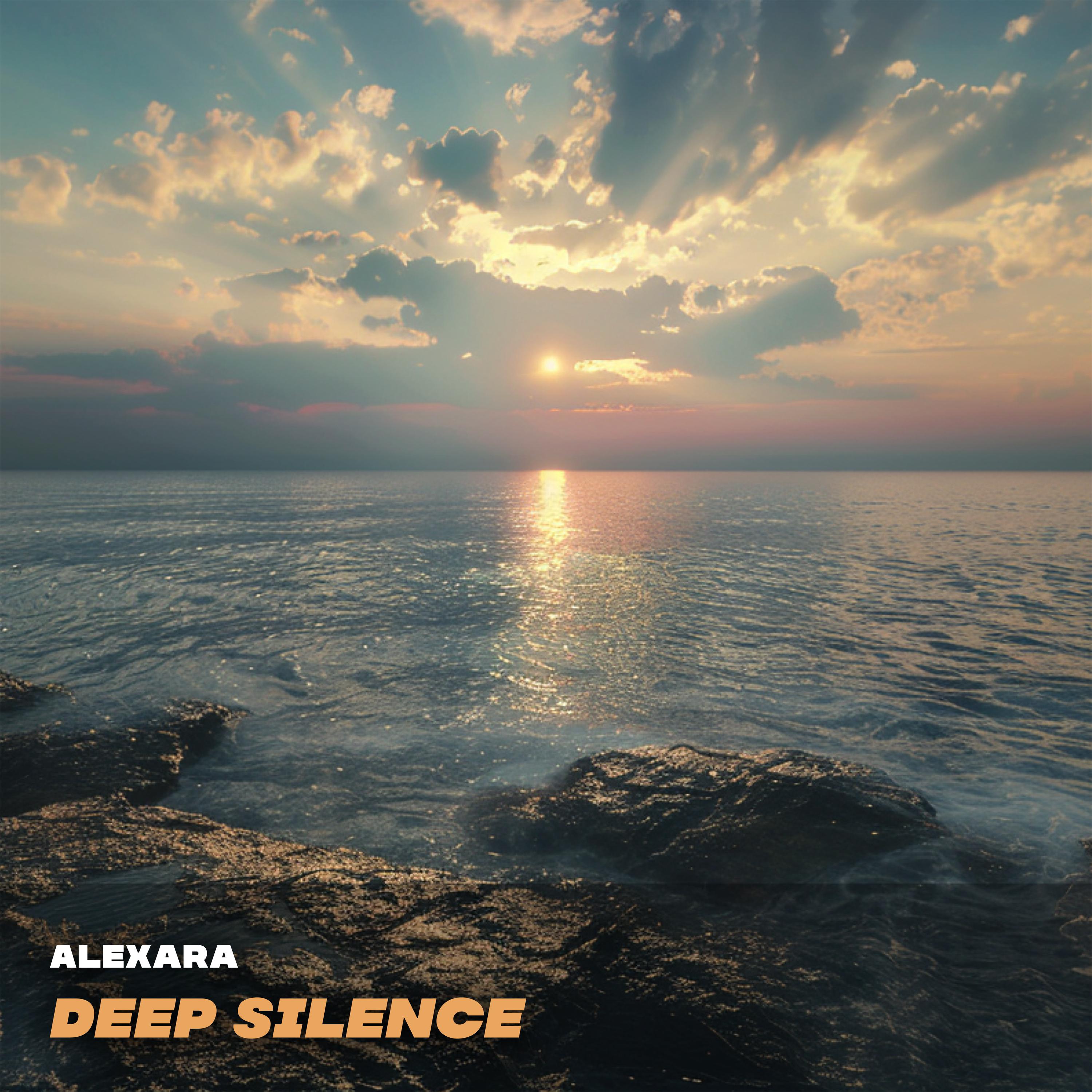 Постер альбома Deep Silence