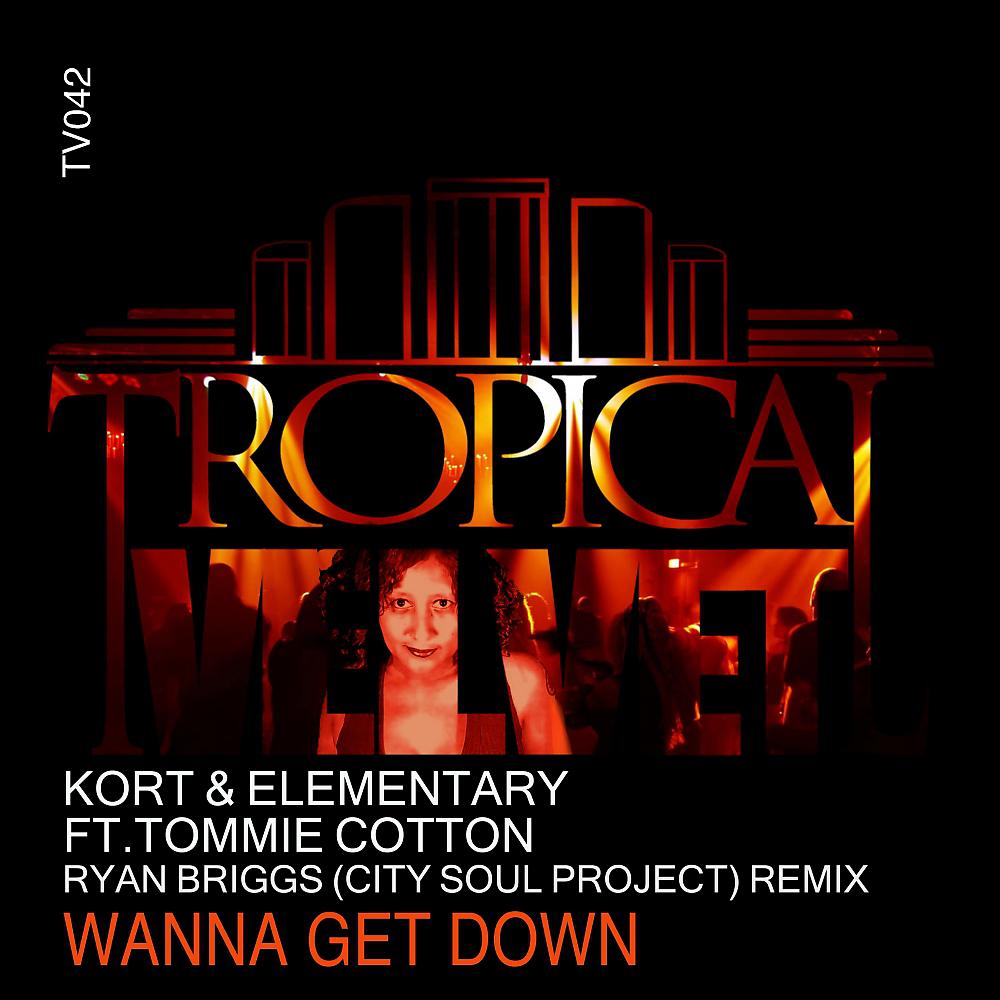 Постер альбома Wanna Get Down (Ryan Briggs (City Soul Project) Remix)