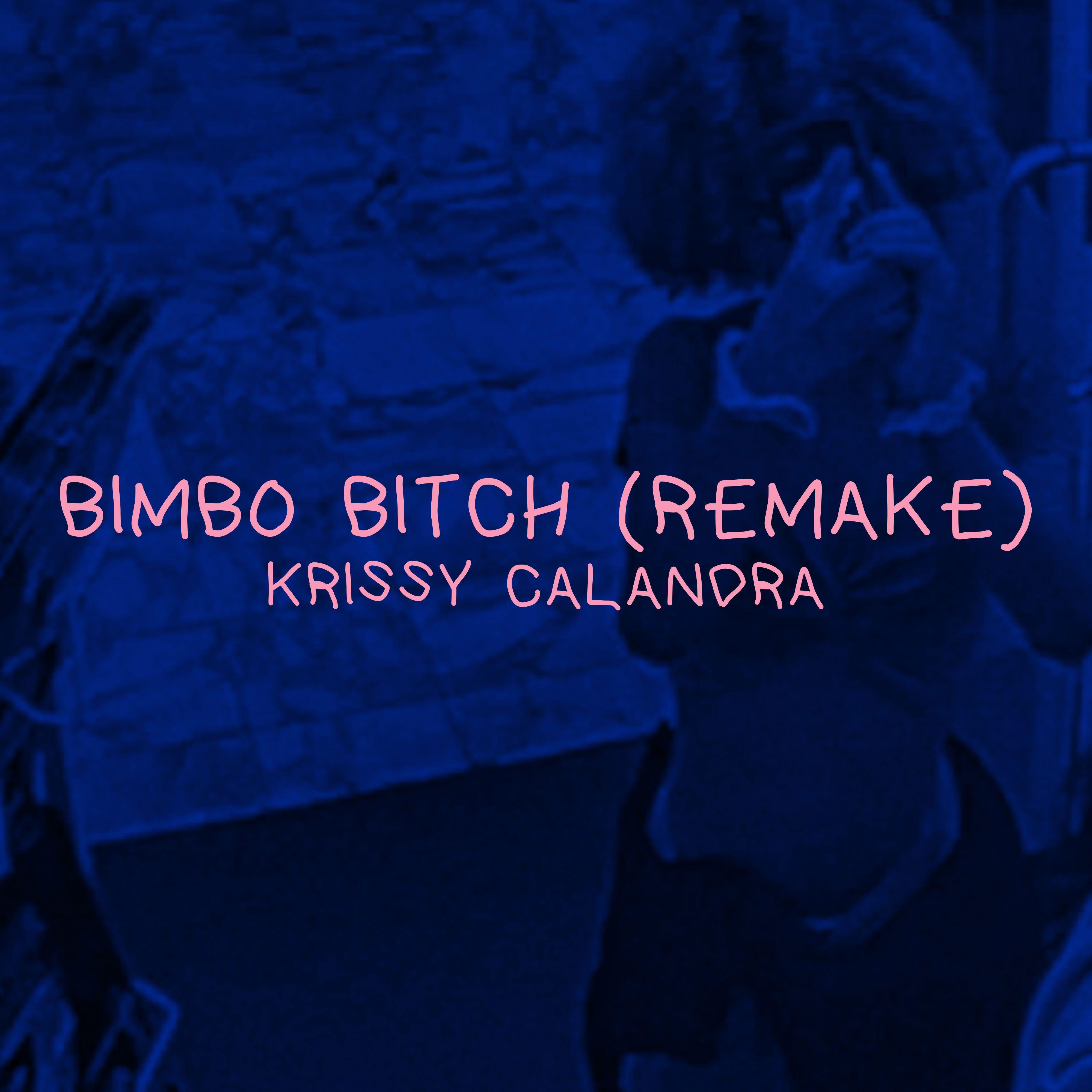 Постер альбома Bimbo Bitch (Remake)