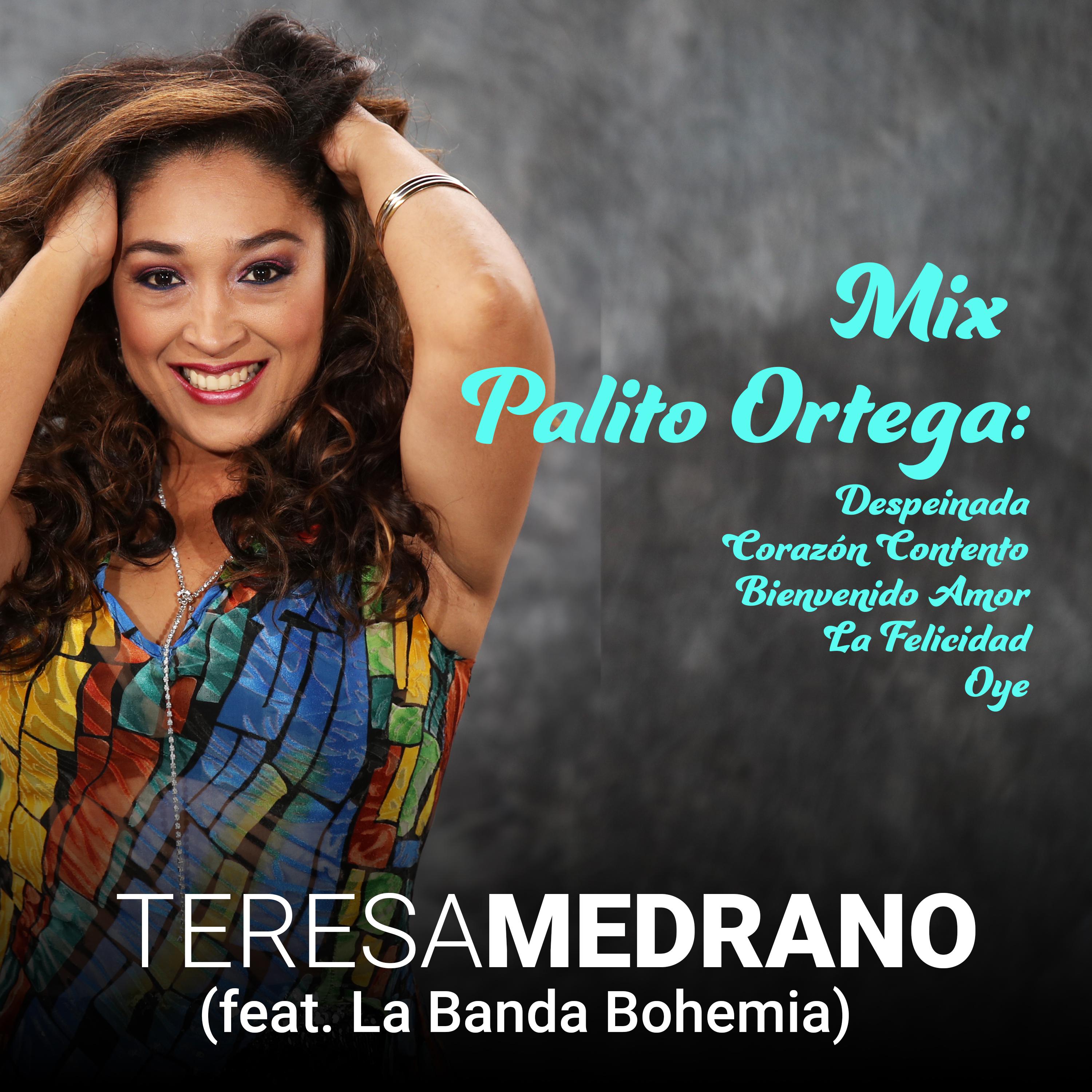 Постер альбома Mix Palito Ortega: Despeinada / Corazón Contento / Bienvenido Amor / La Felicidad / Oye