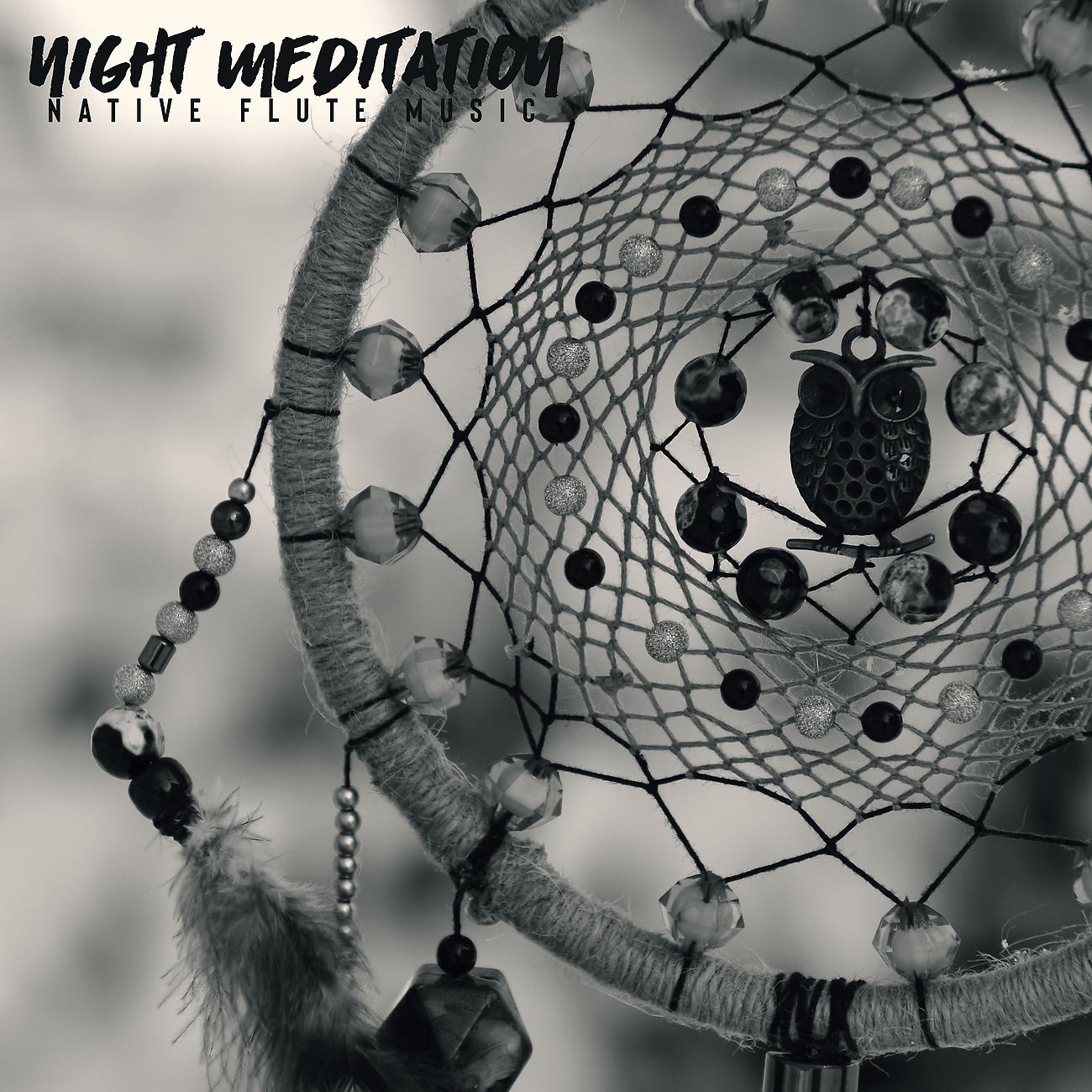 Постер альбома Night Meditation