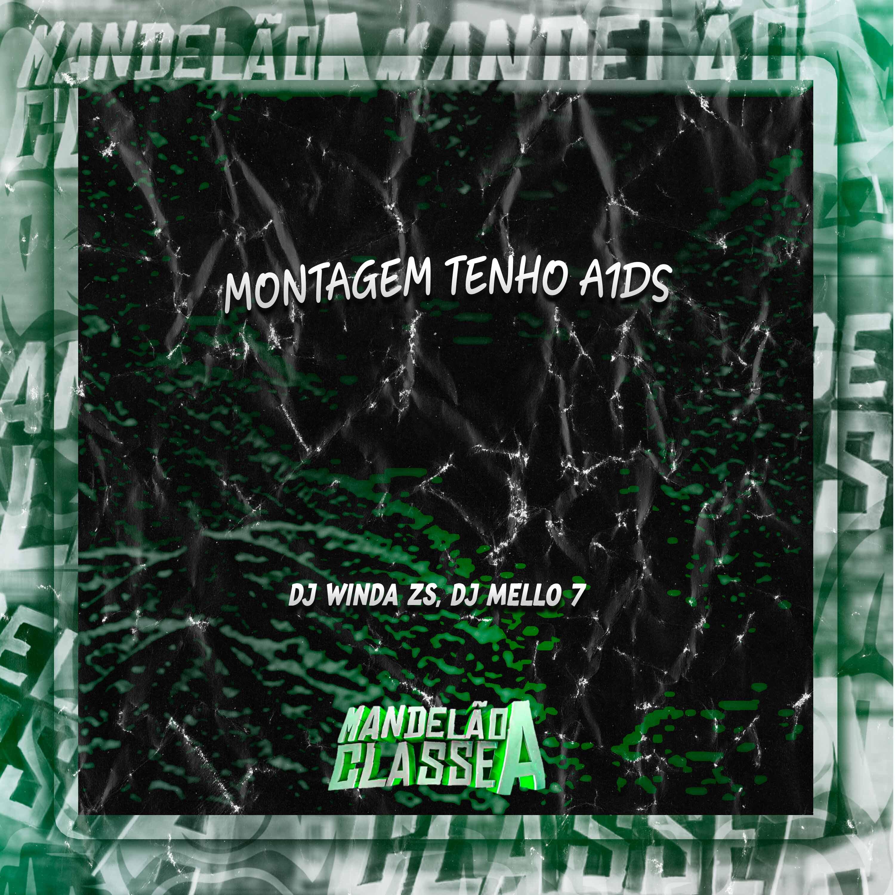 Постер альбома Montagem Tenho A1Ds