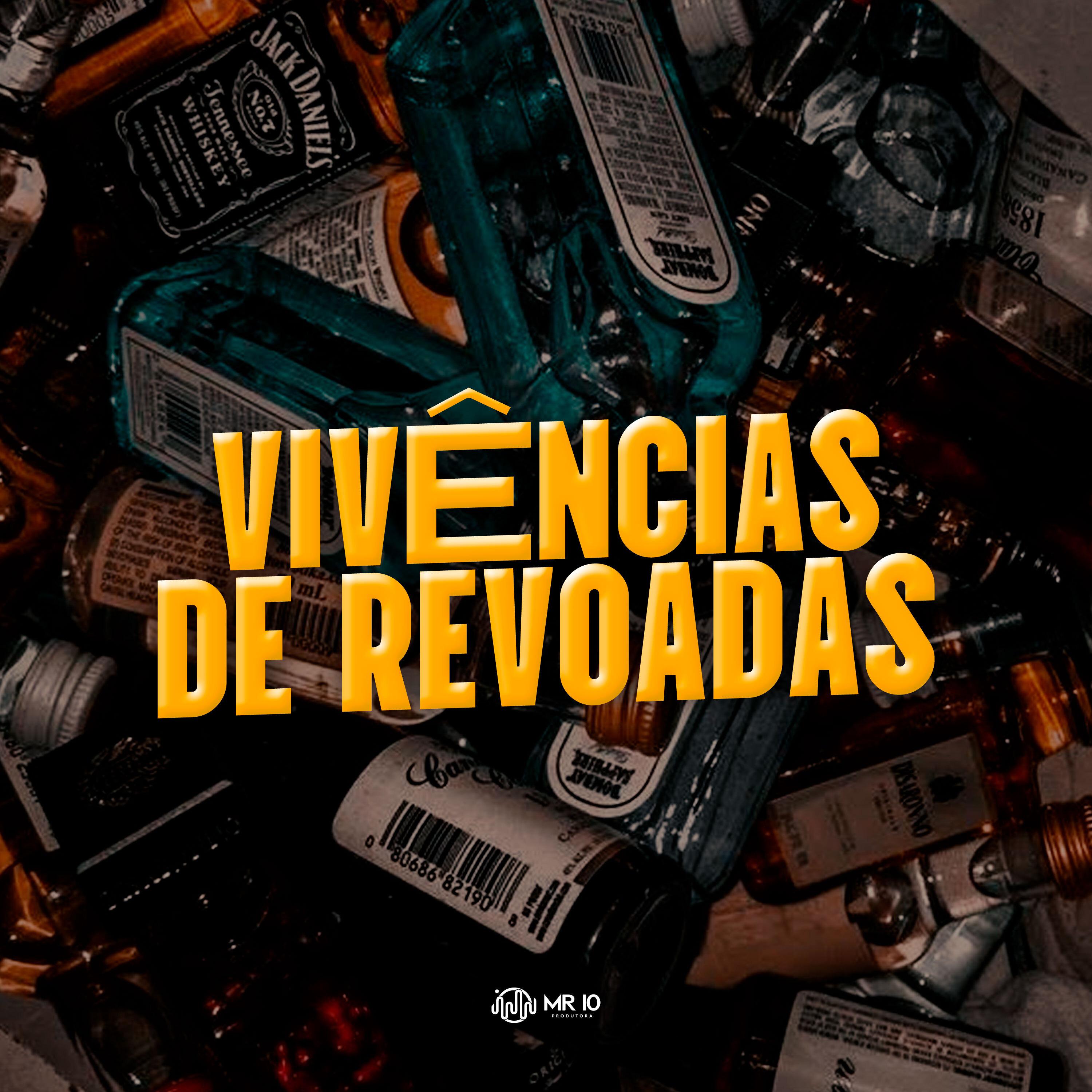 Постер альбома Vivências de Revoadas