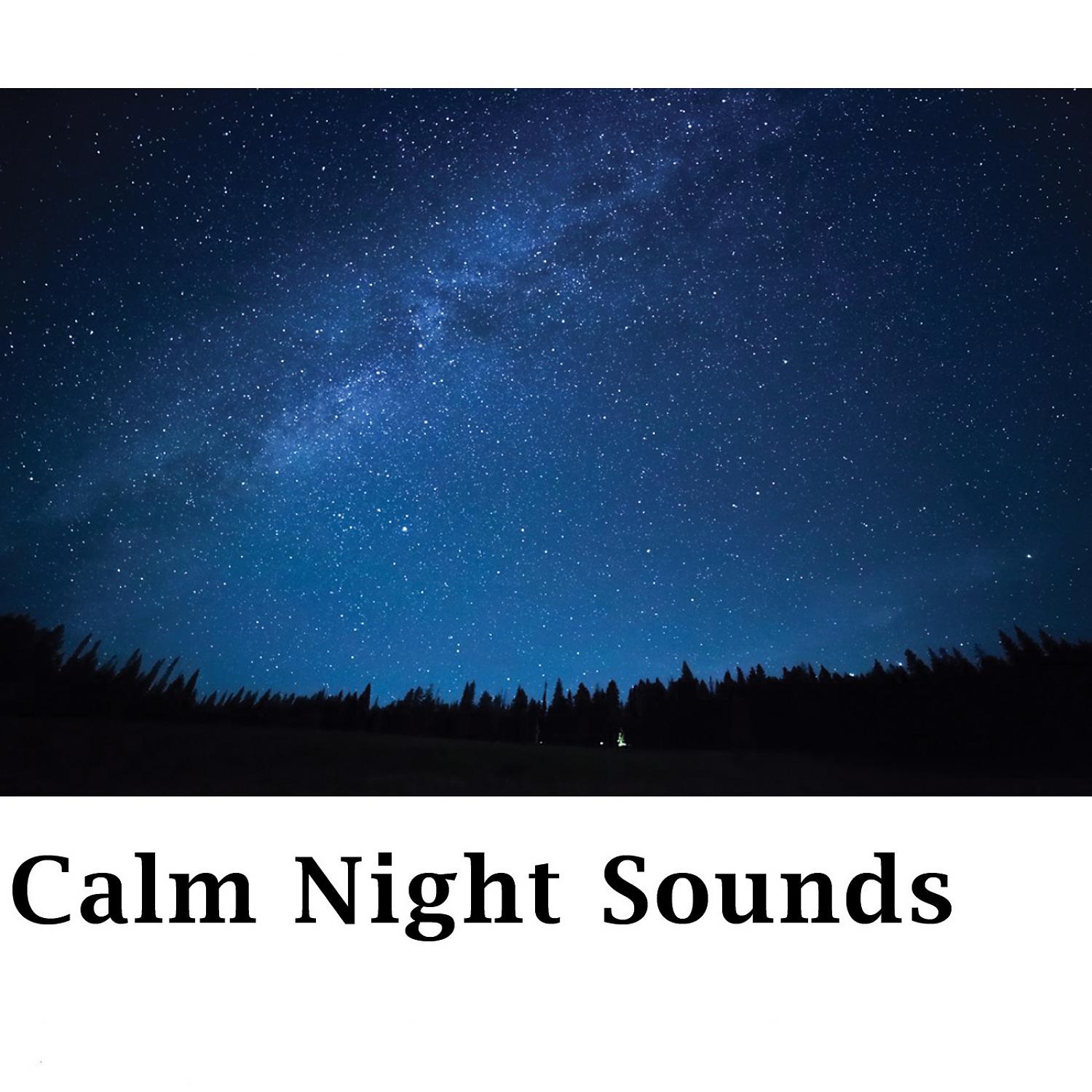 Постер альбома Calm Night Sounds