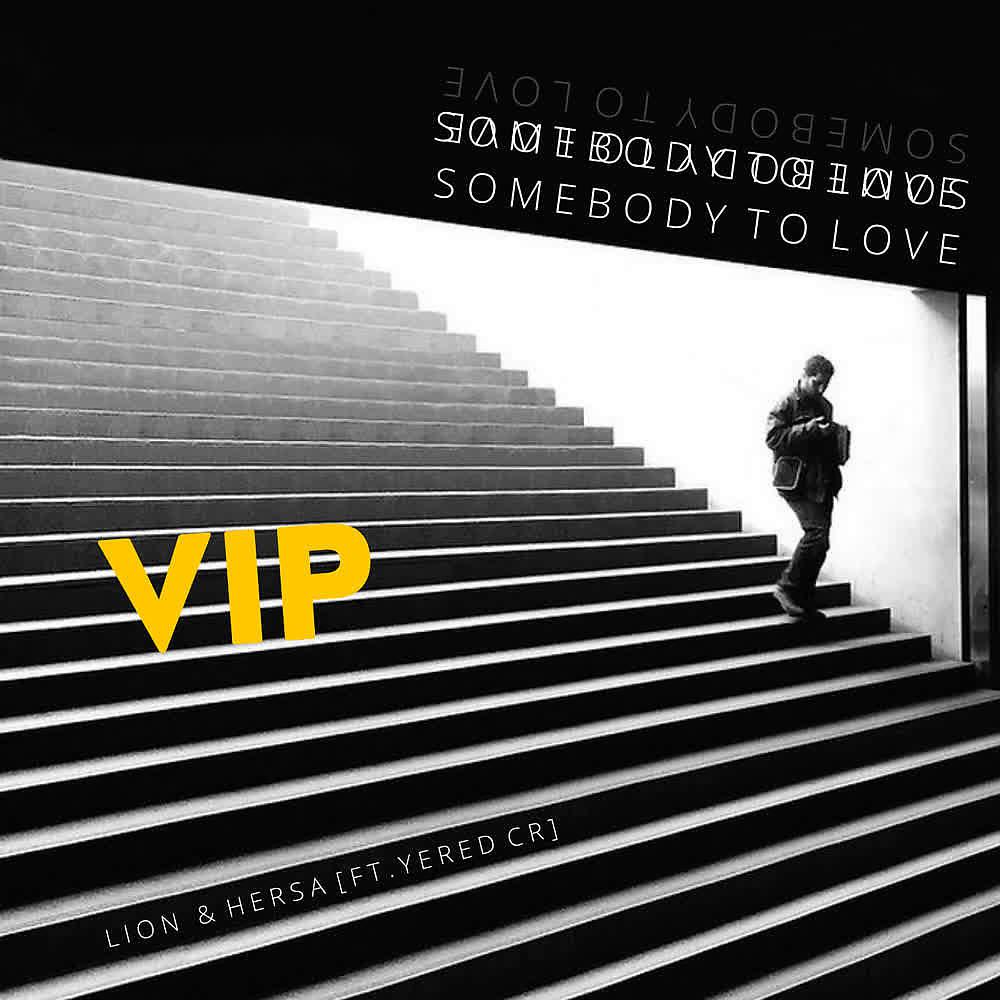 Постер альбома Somebody To Love (VIP)