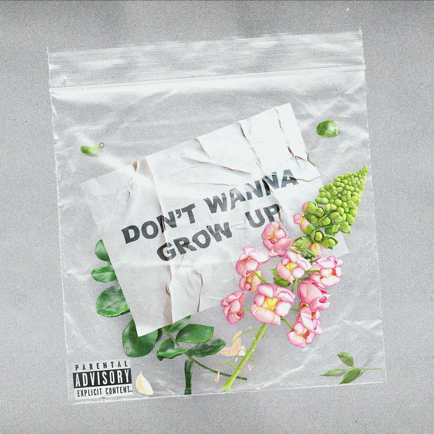Постер альбома Don't Wanna Grow Up