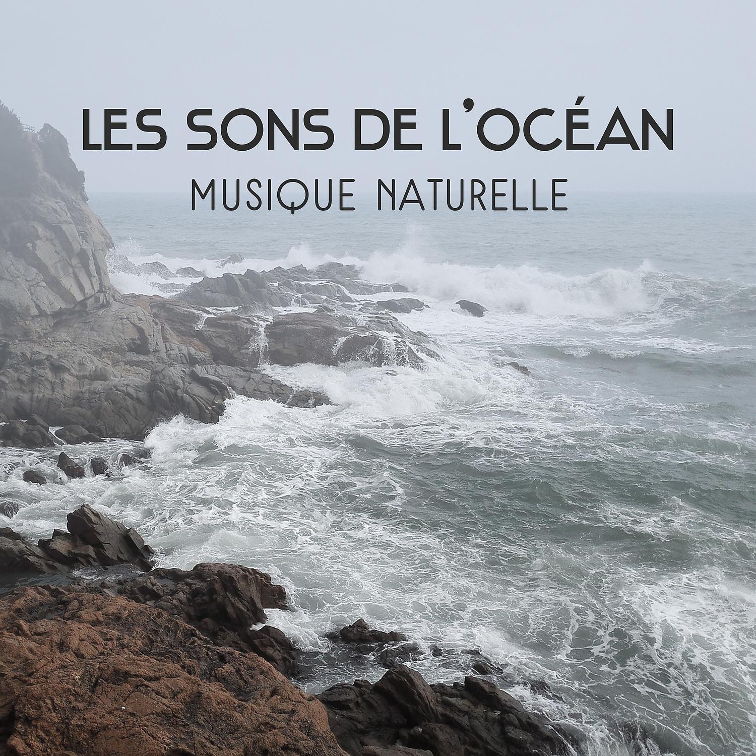 Постер альбома Les sons de l'océan - Musique naturelle pour se détendre, Raisons pour se méditation, Trouvez votre chemin