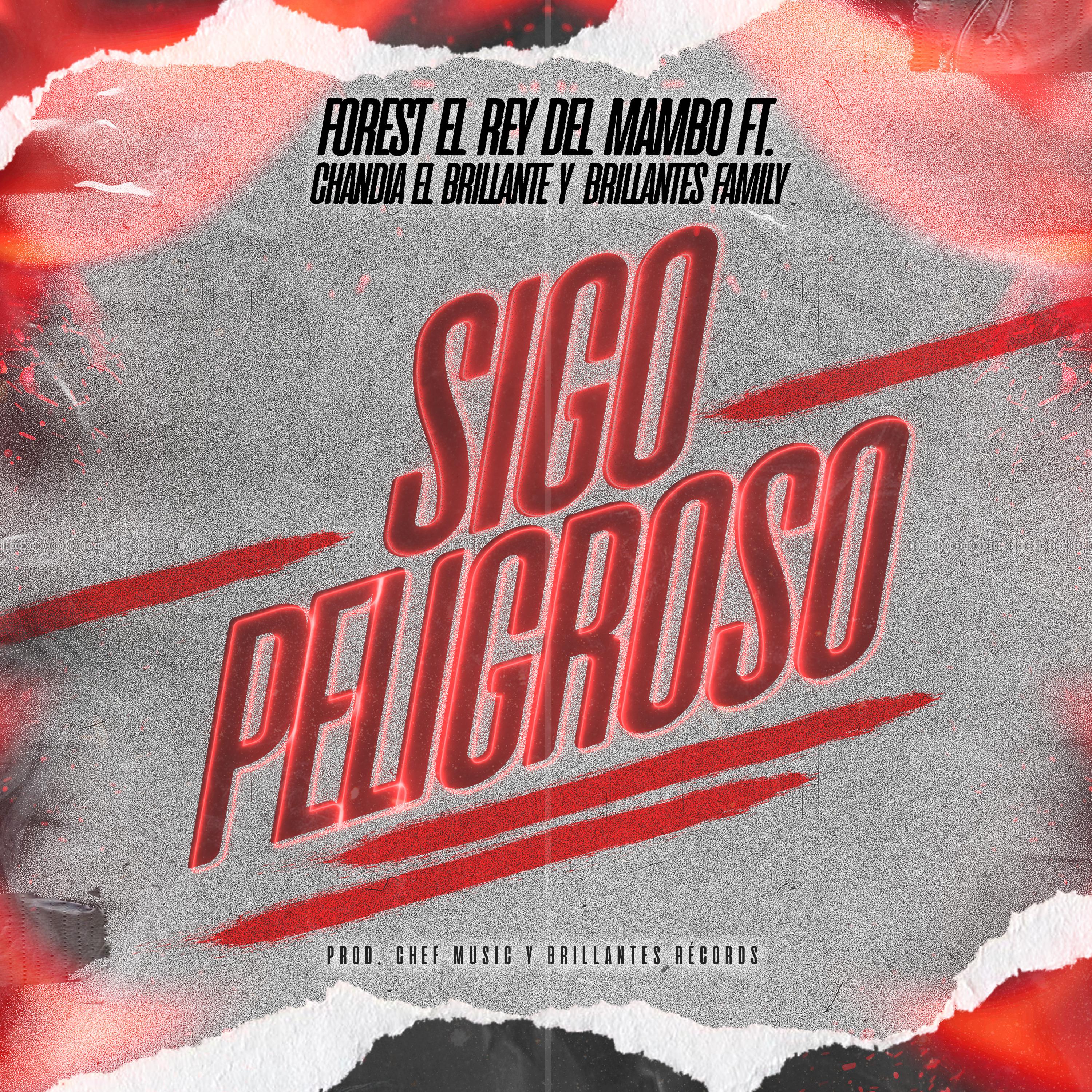 Постер альбома Peligroso