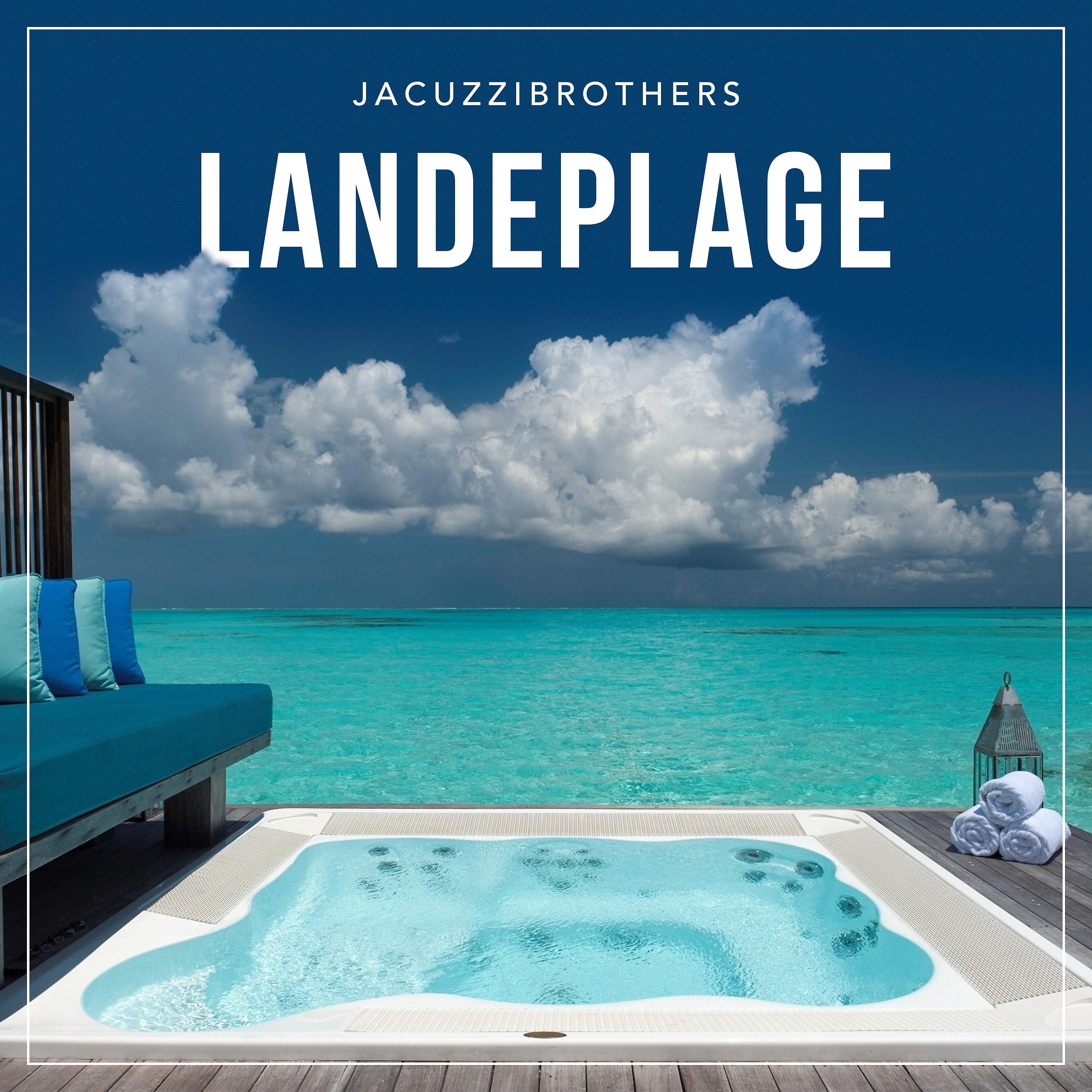 Постер альбома Landeplage