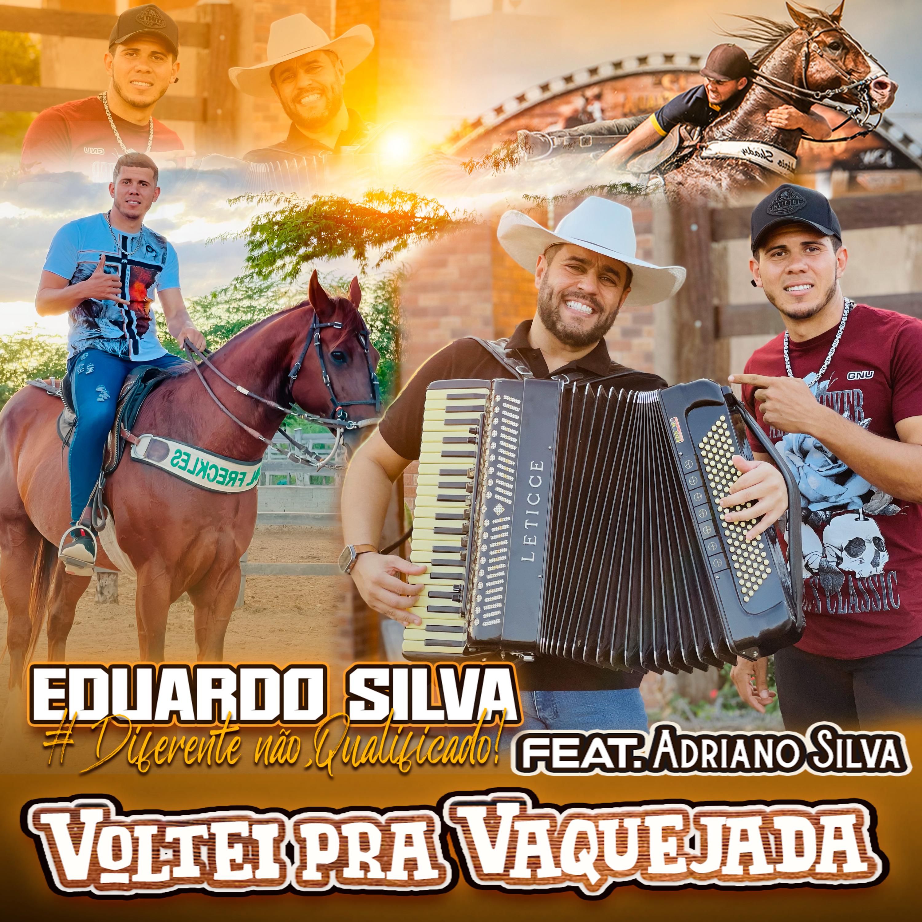 Постер альбома Voltei pra Vaquejada
