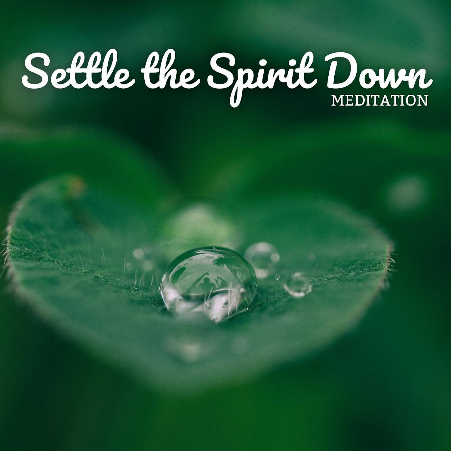 Постер альбома Meditation: Settle the Spirit Down