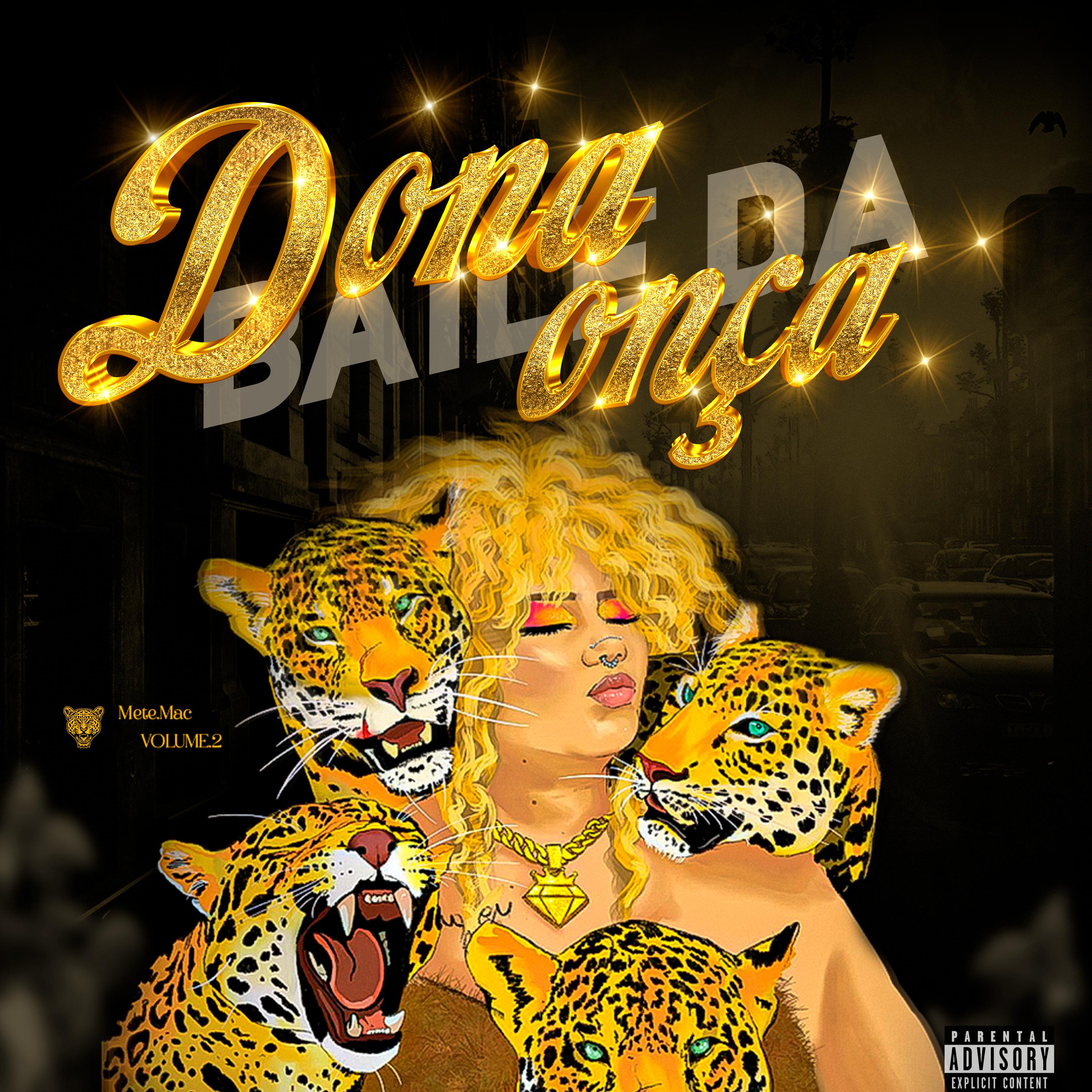 Постер альбома Baile da Dona Onça