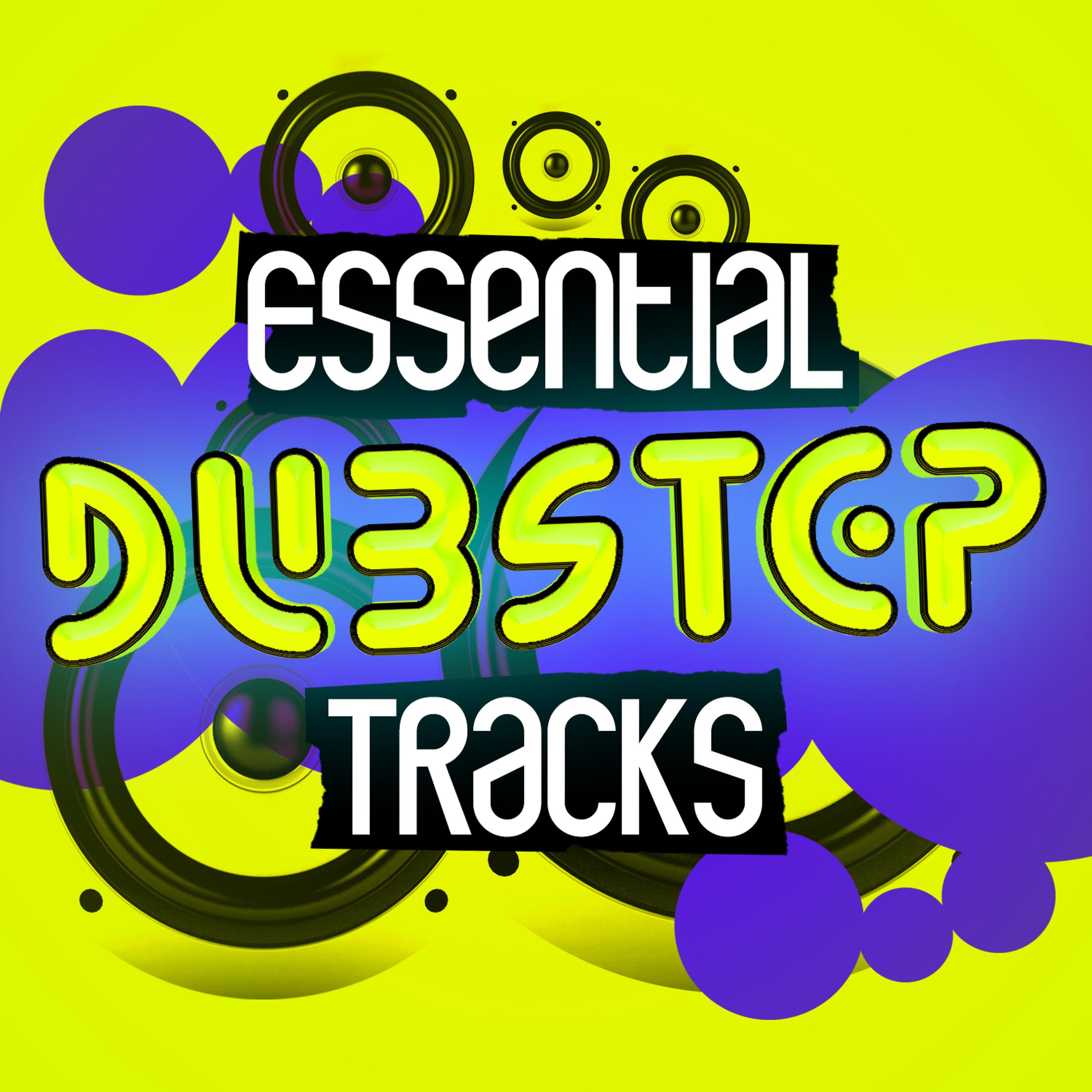 Постер альбома Essential Dubstep Tracks
