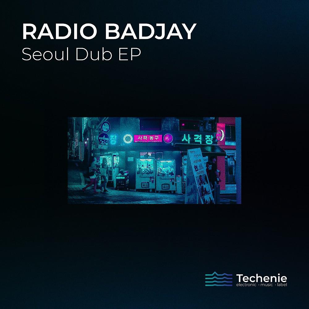 Постер альбома Seoul Dub