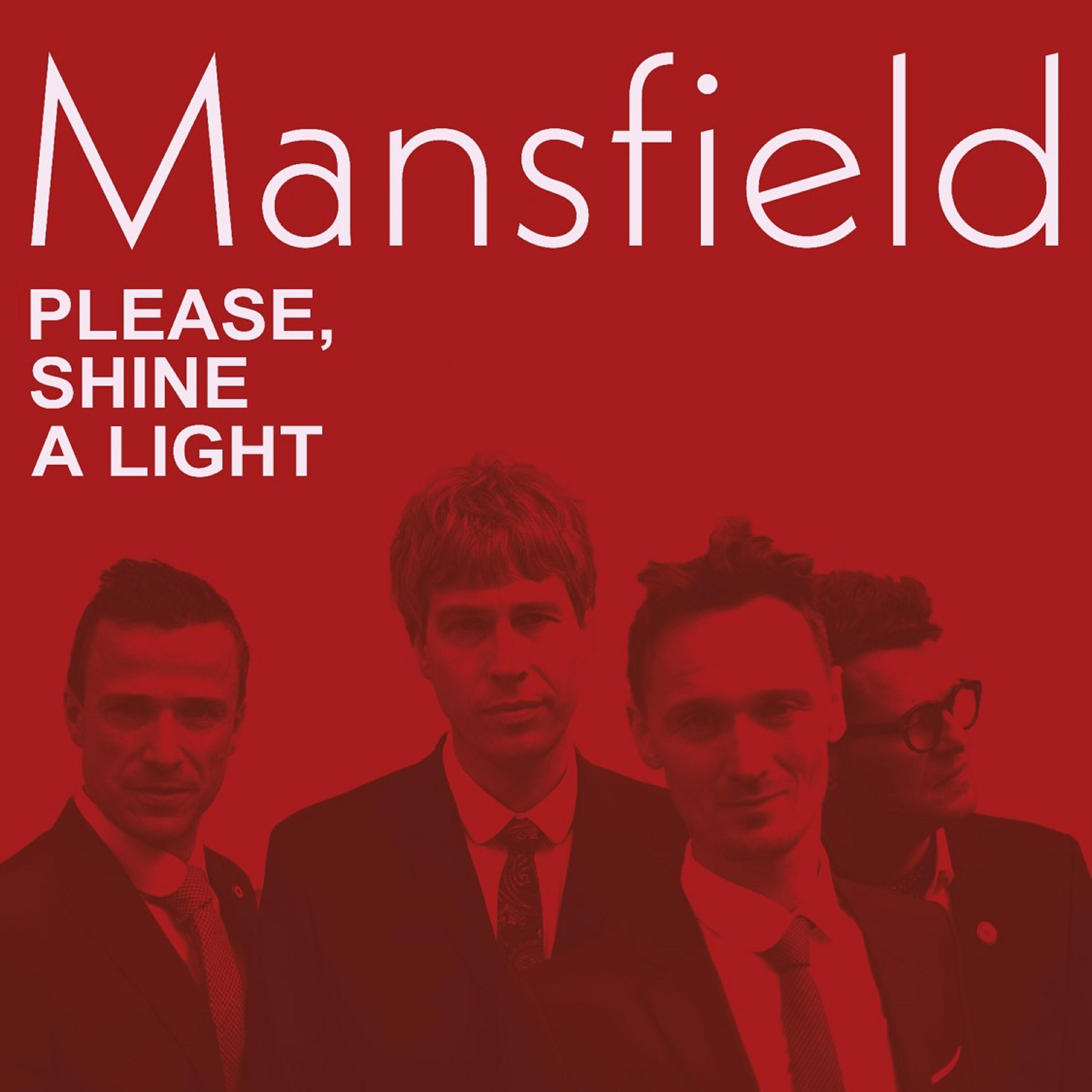 Постер альбома Please, Shine a Light