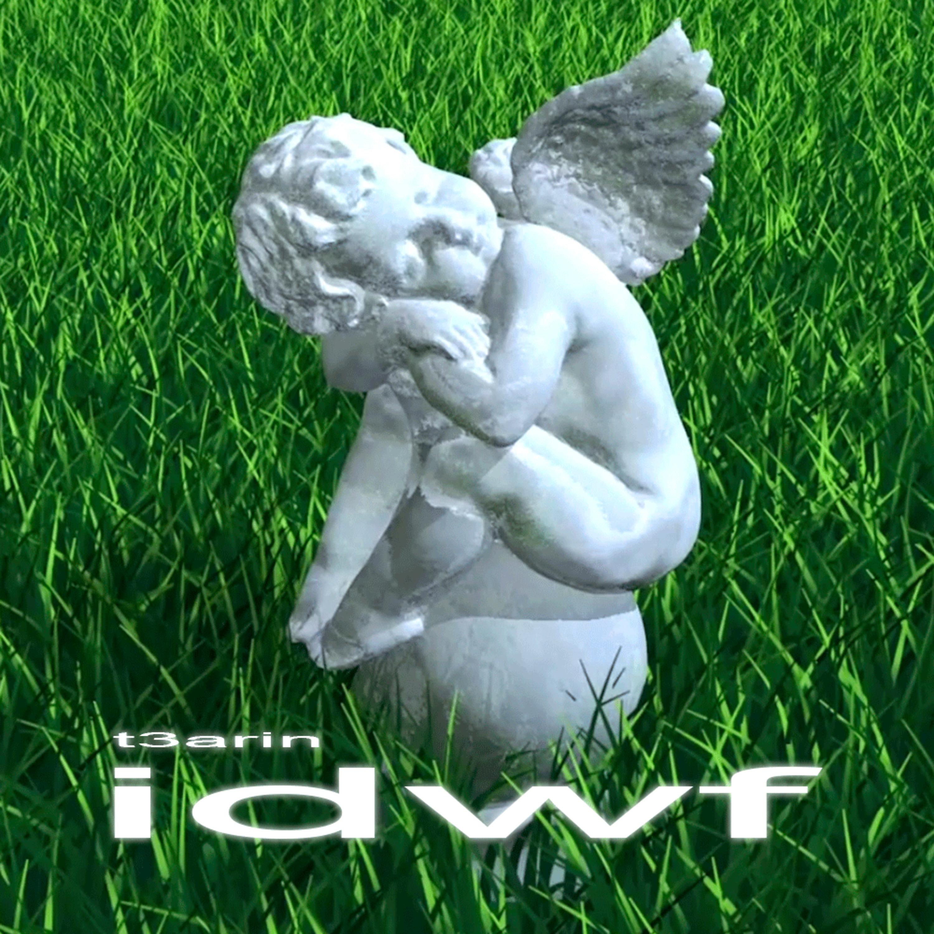 Постер альбома Idwf