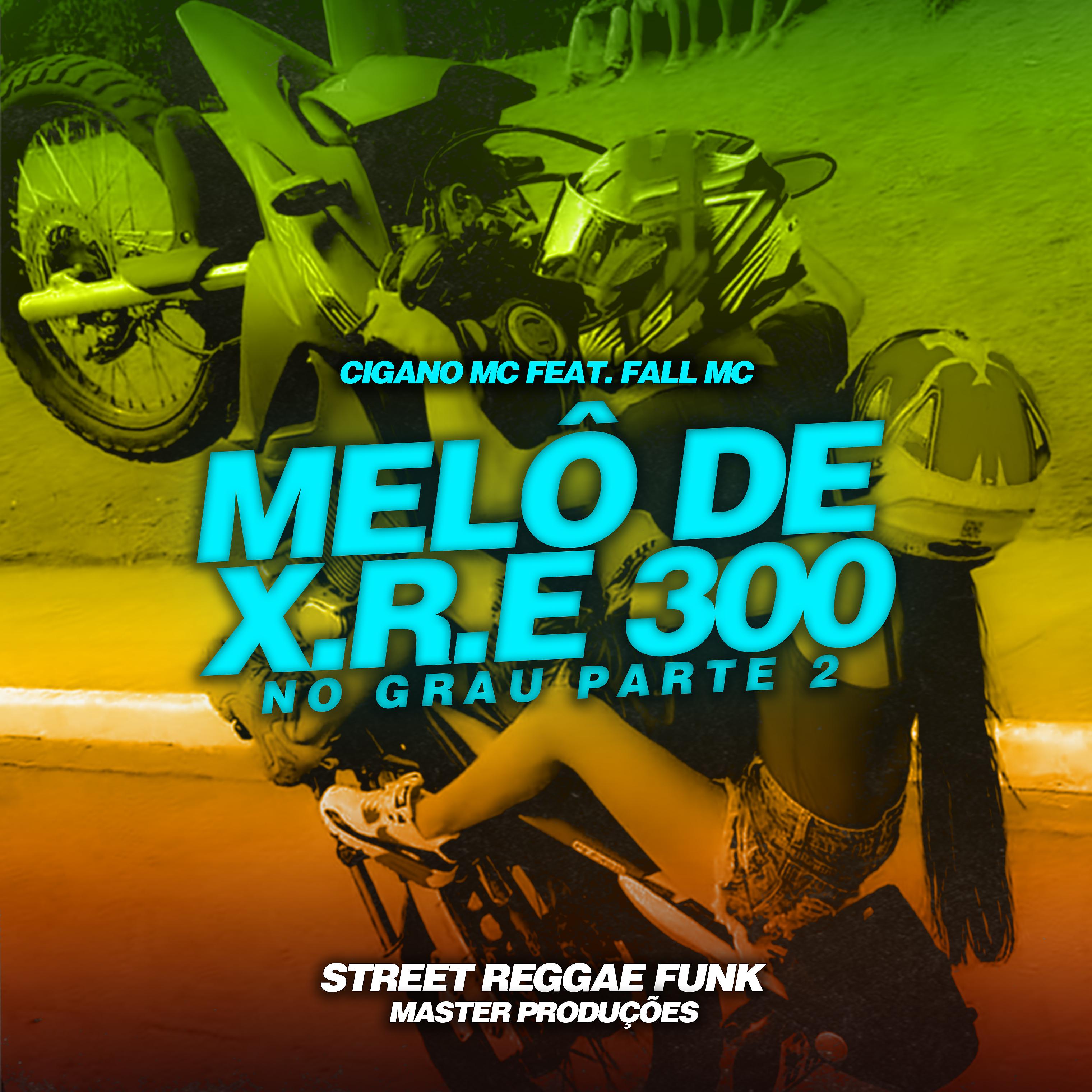 Постер альбома Melô de X.R.E 300 - No Grau Parte 2