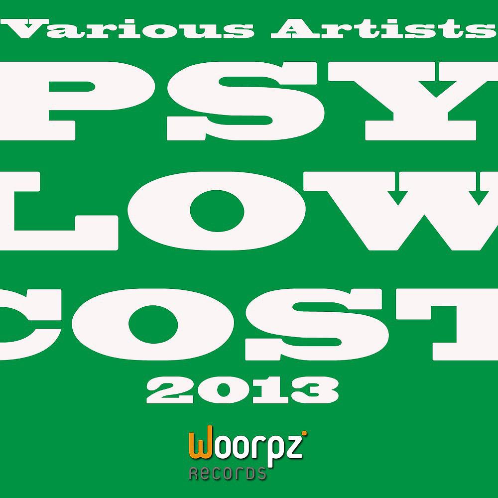Постер альбома Psy Low Cost 2013