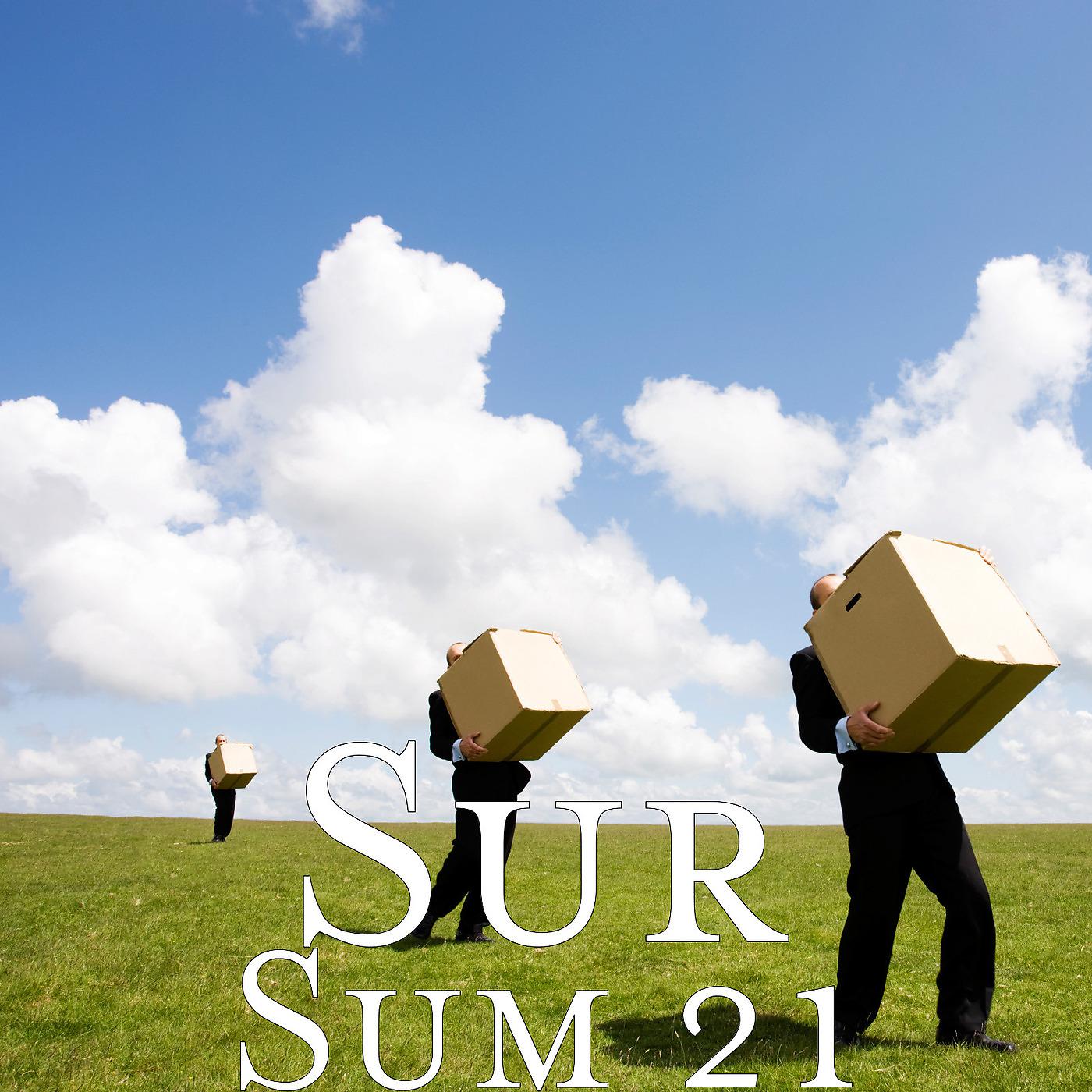Постер альбома Sum 21
