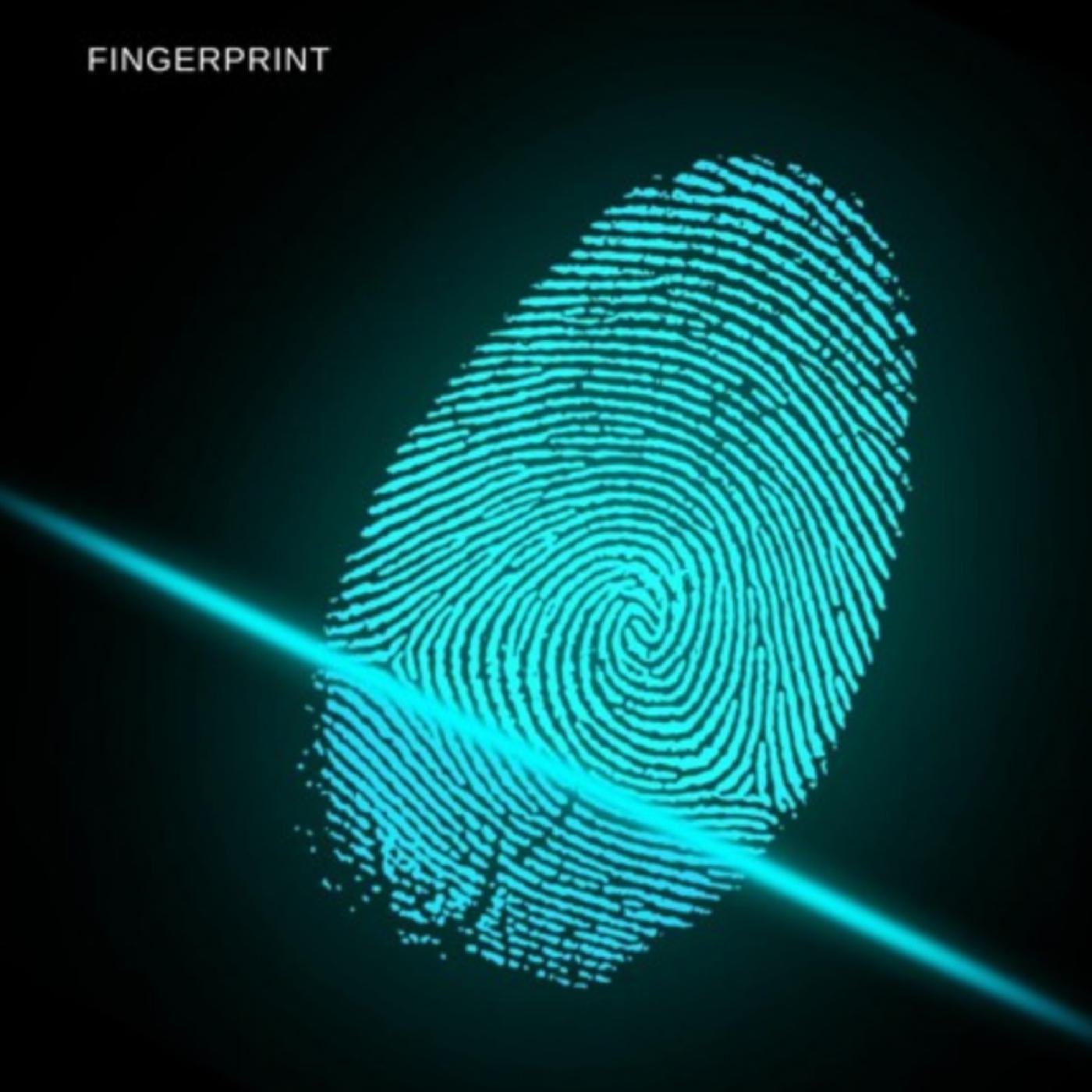 Постер альбома Fingerprint