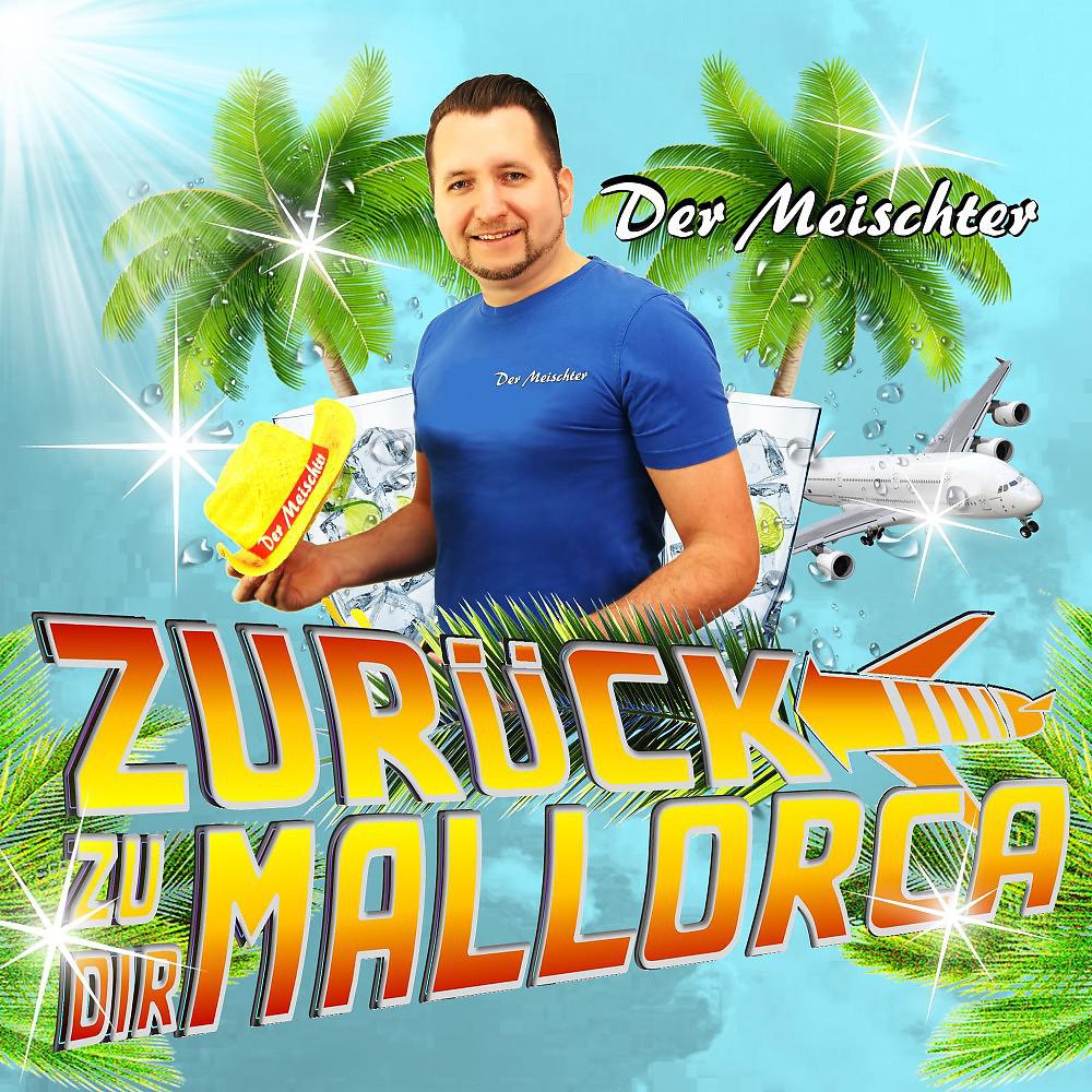 Постер альбома Zurück zu dir (Mallorca)