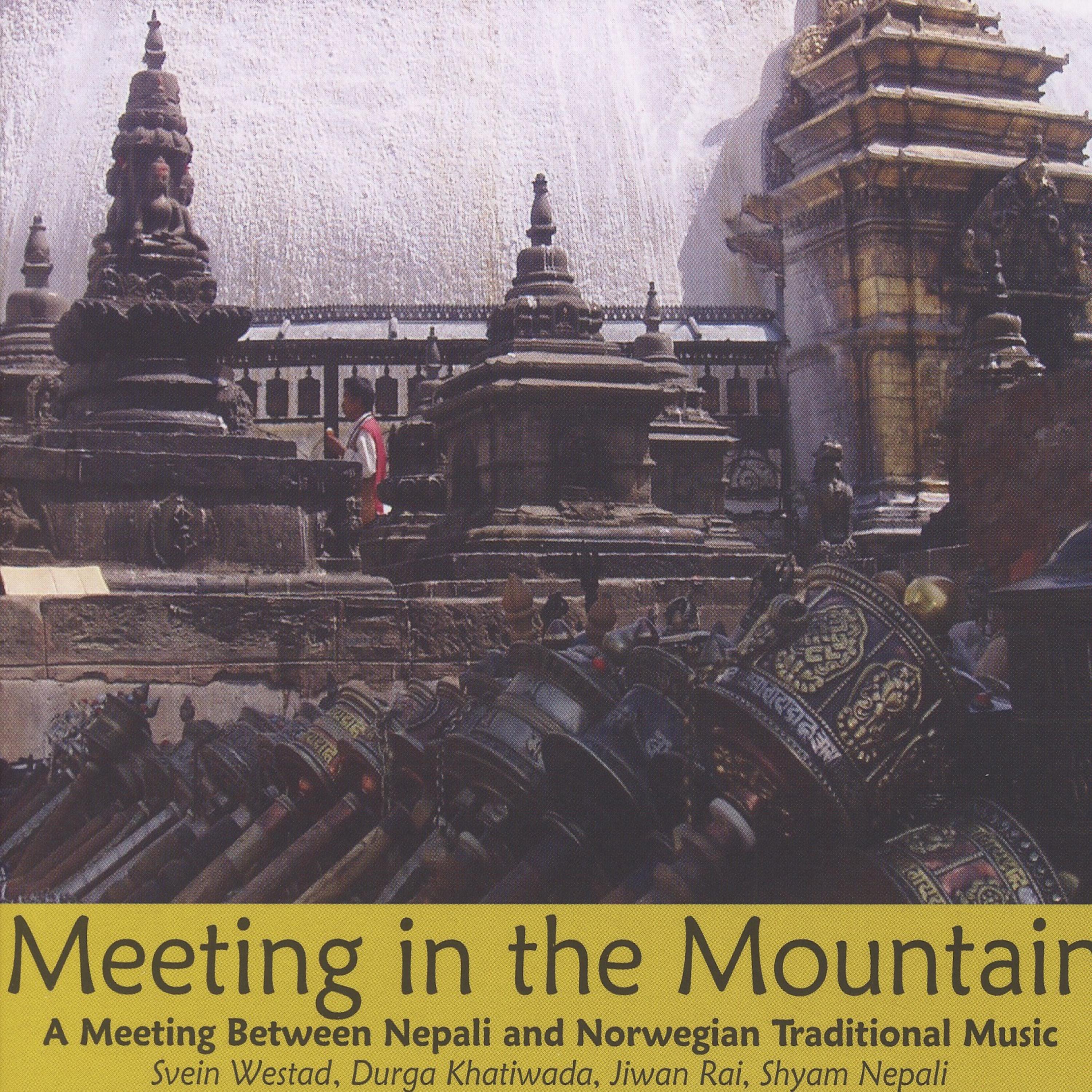 Постер альбома Meeting in the Mountain