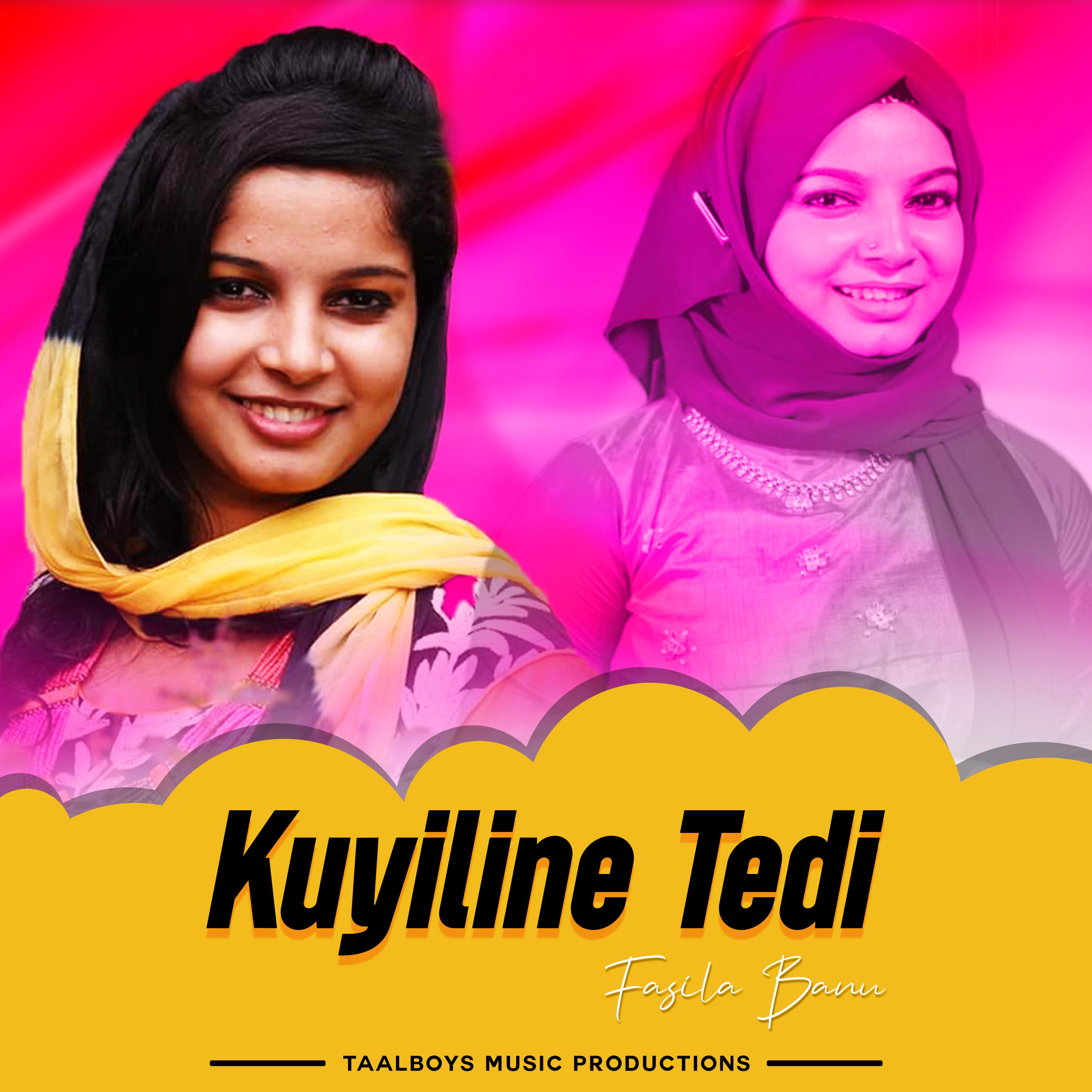 Постер альбома Kuyiline Tedi