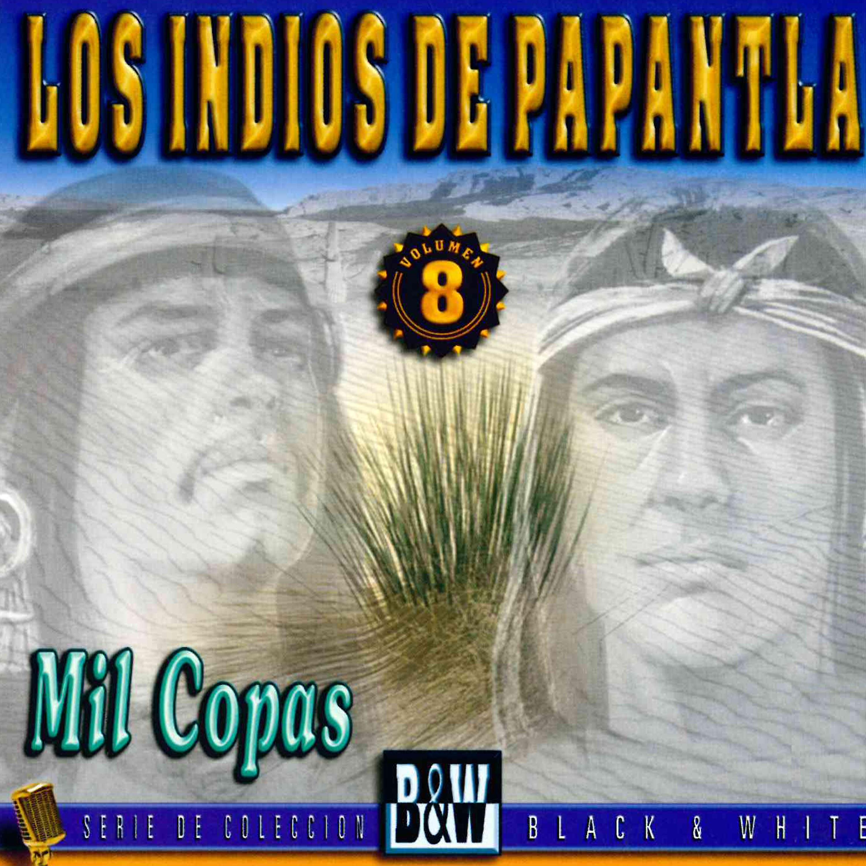 Постер альбома Mil Copas, Vol. 8