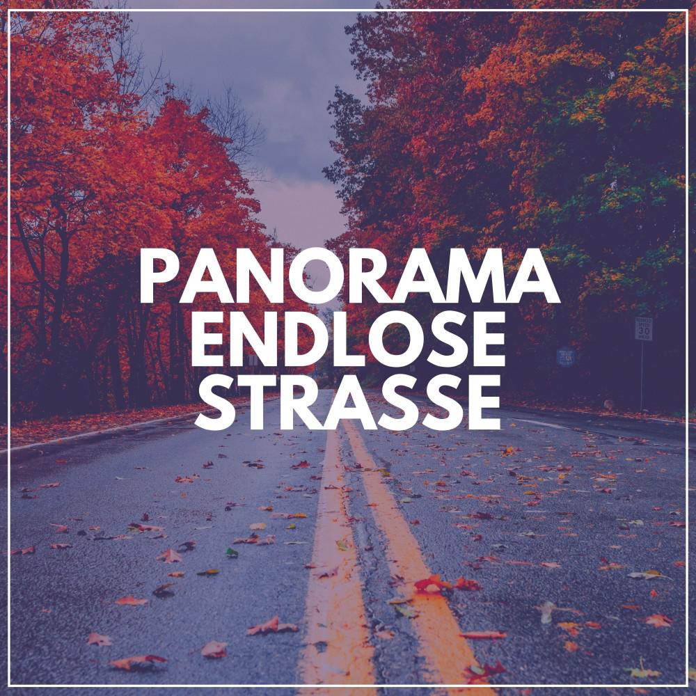 Постер альбома Panorama Endlose Straße