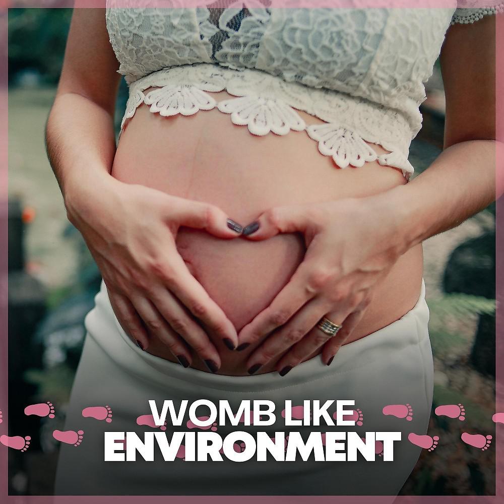 Постер альбома Womb Like Environment