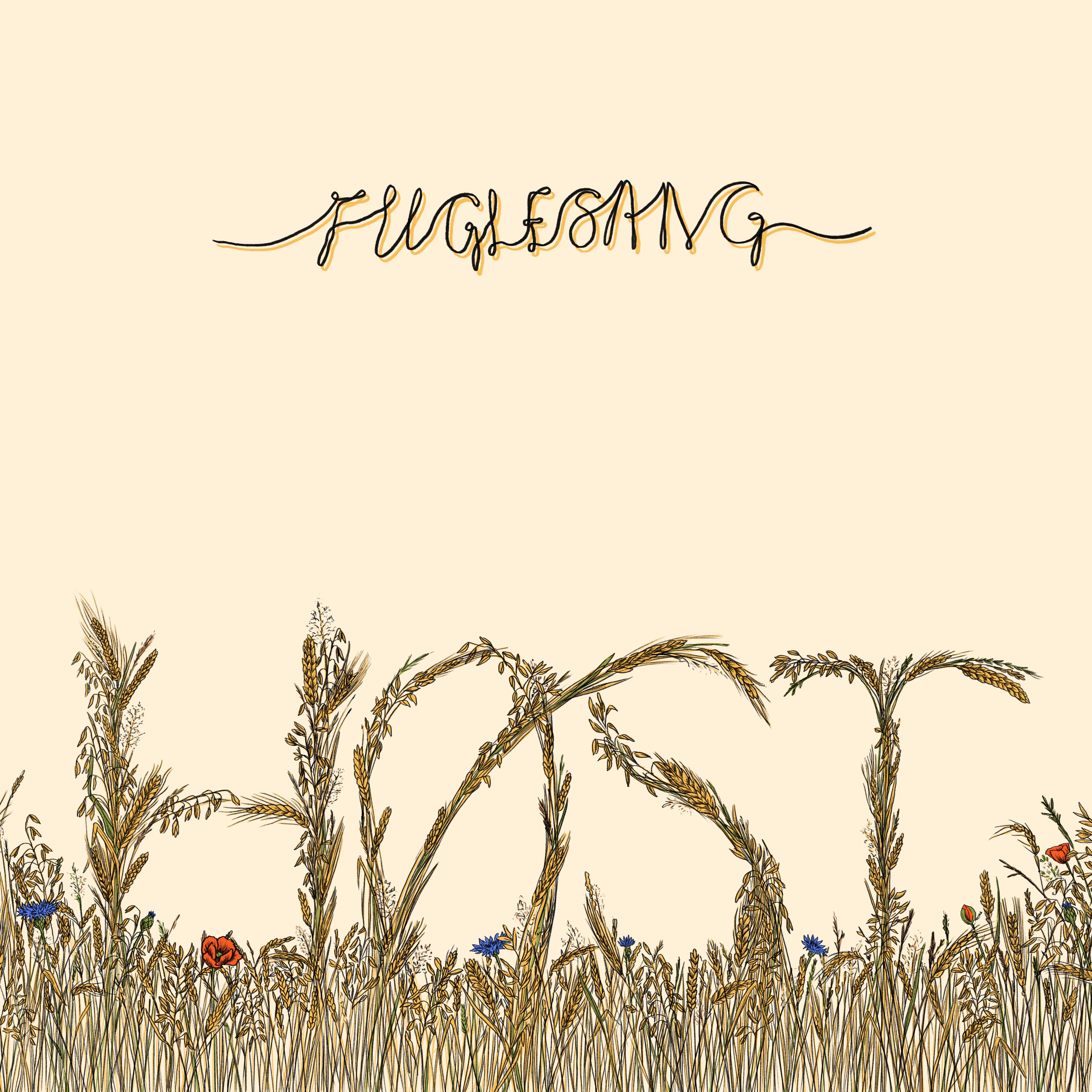 Постер альбома Fuglesang