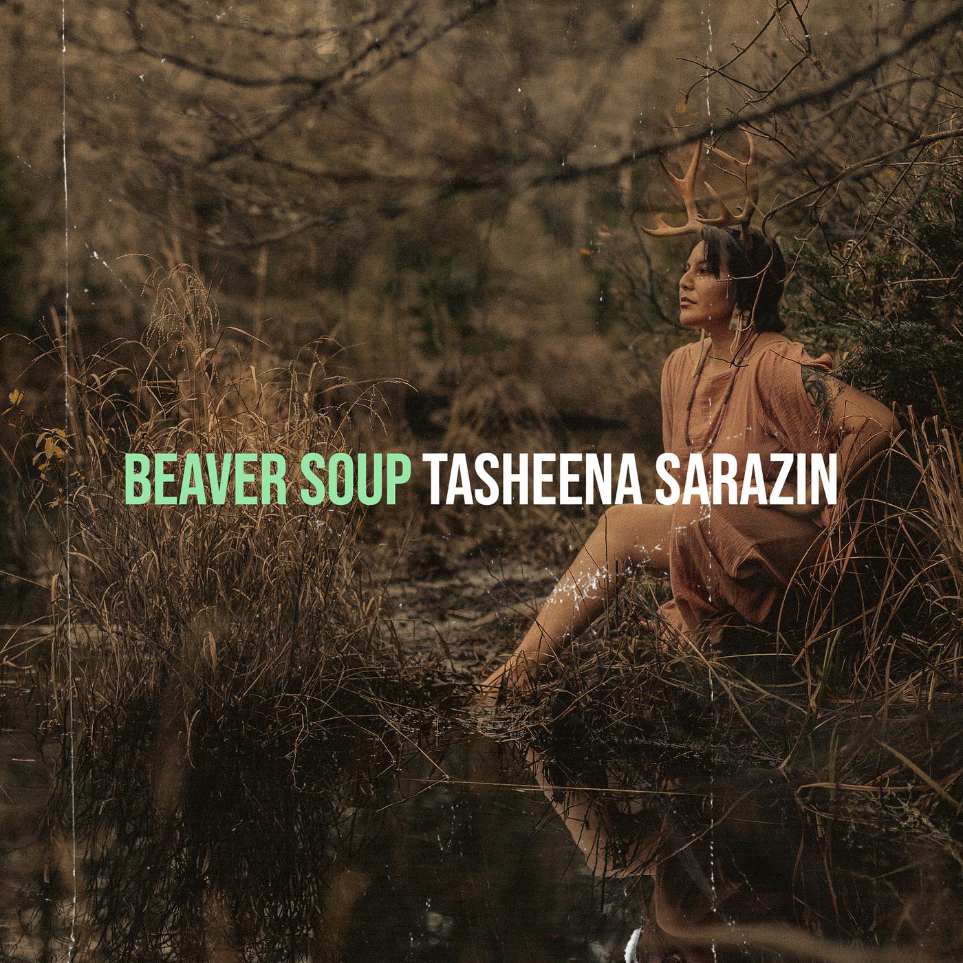 Постер альбома Beaver Soup