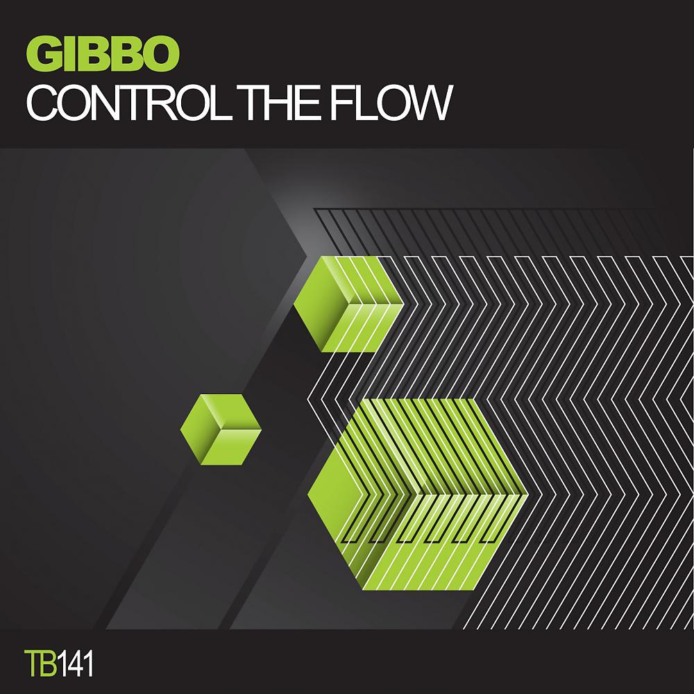 Постер альбома Control The Flow