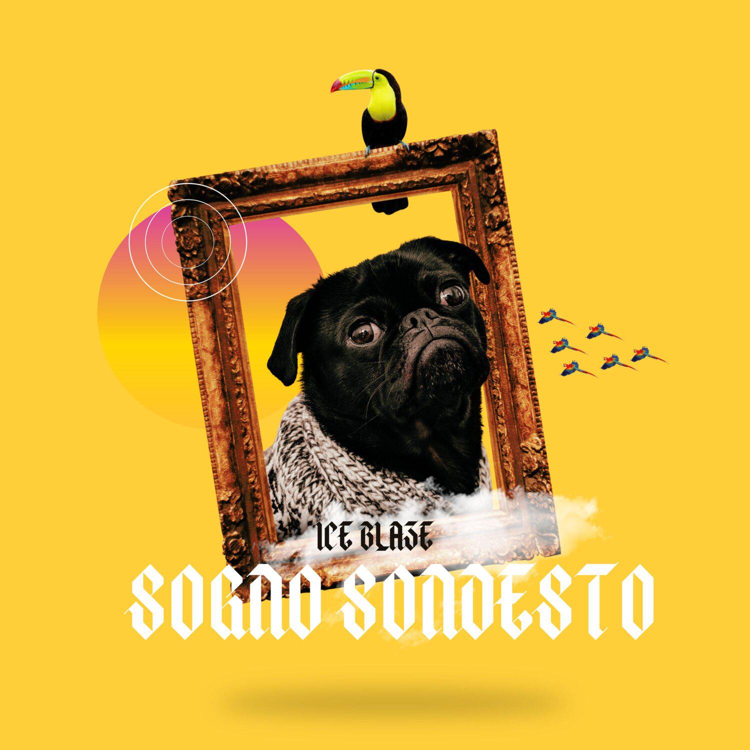 Постер альбома Sogno Sondesto