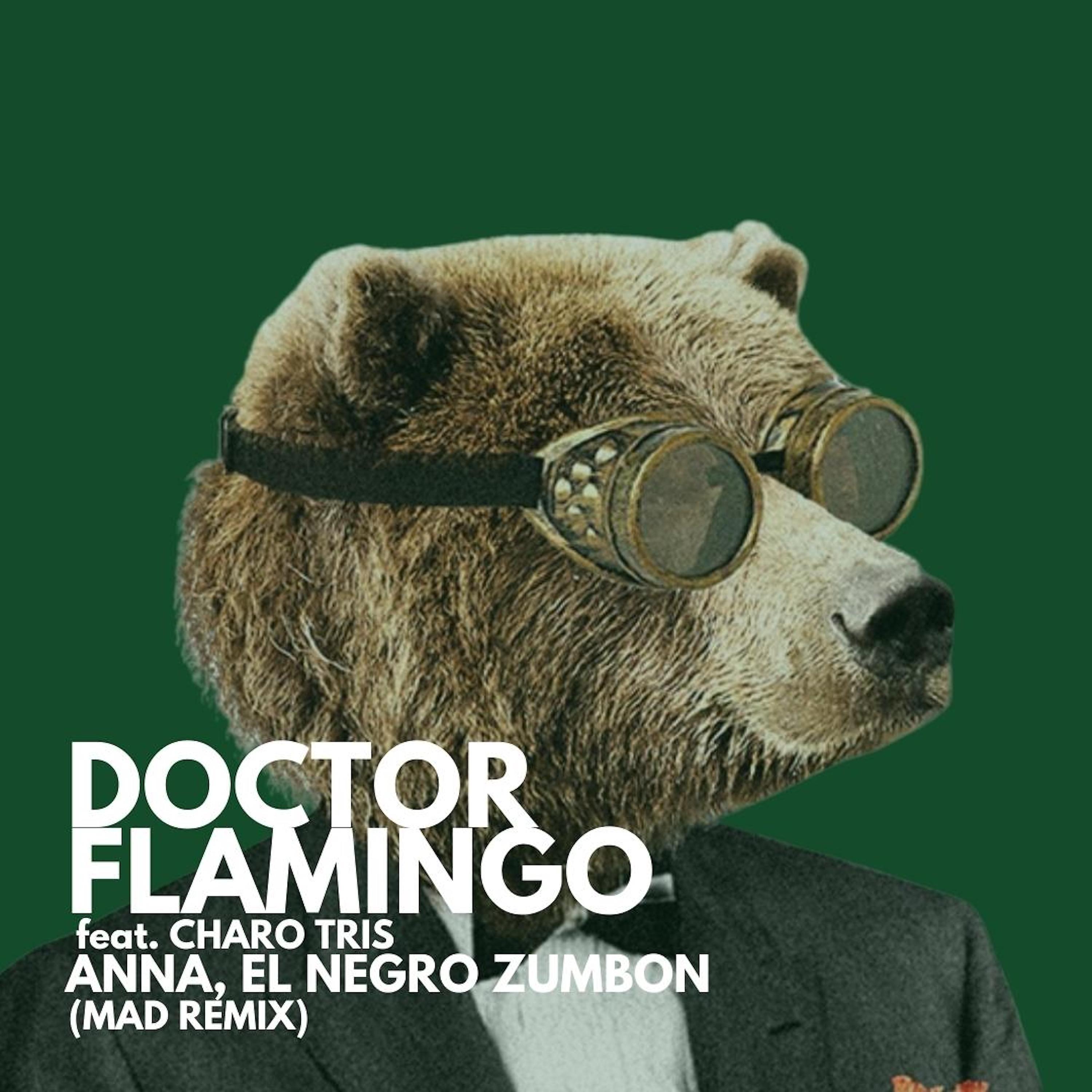 Постер альбома Anna, El Negro Zumbón (Mad Remix)