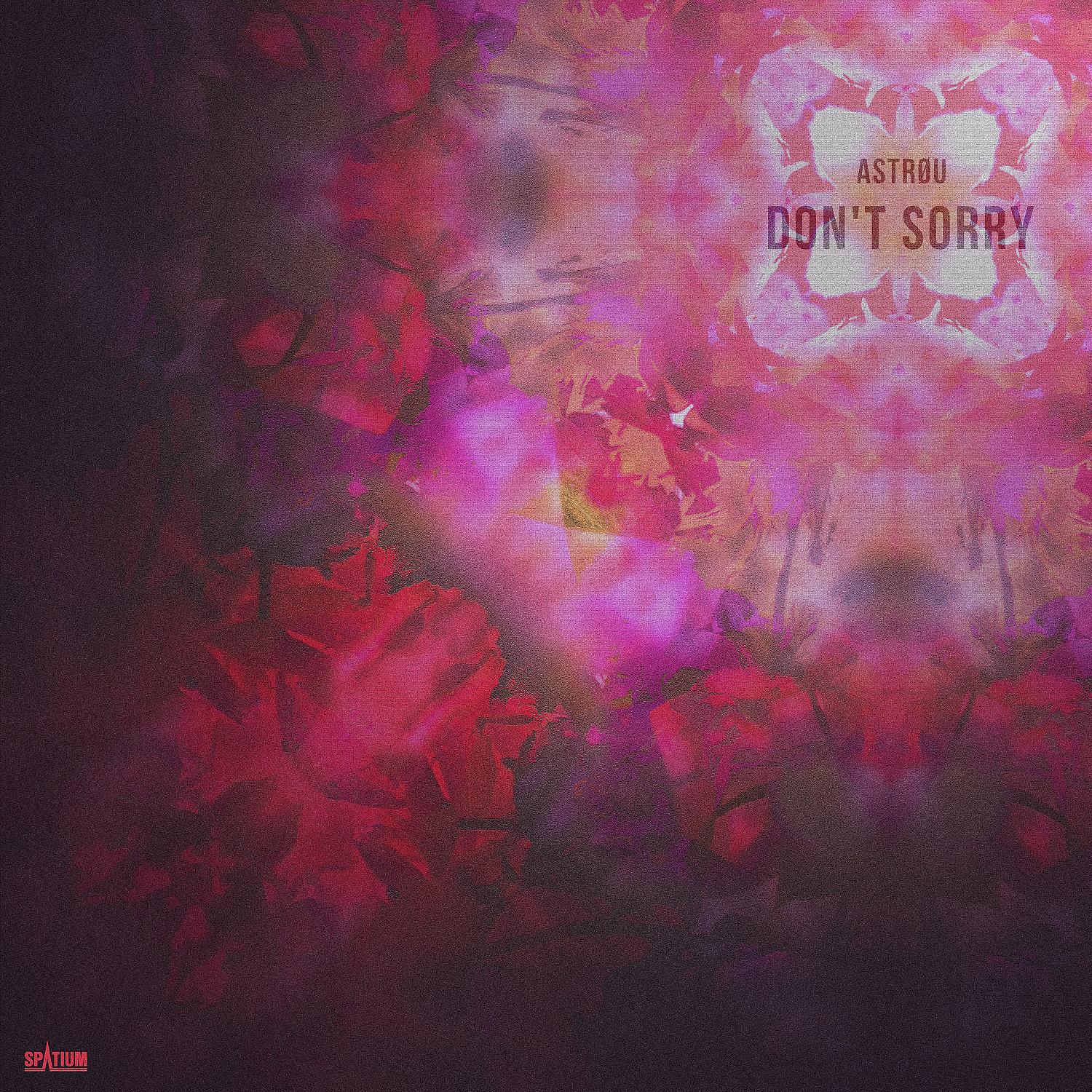 Постер альбома Don't Sorry