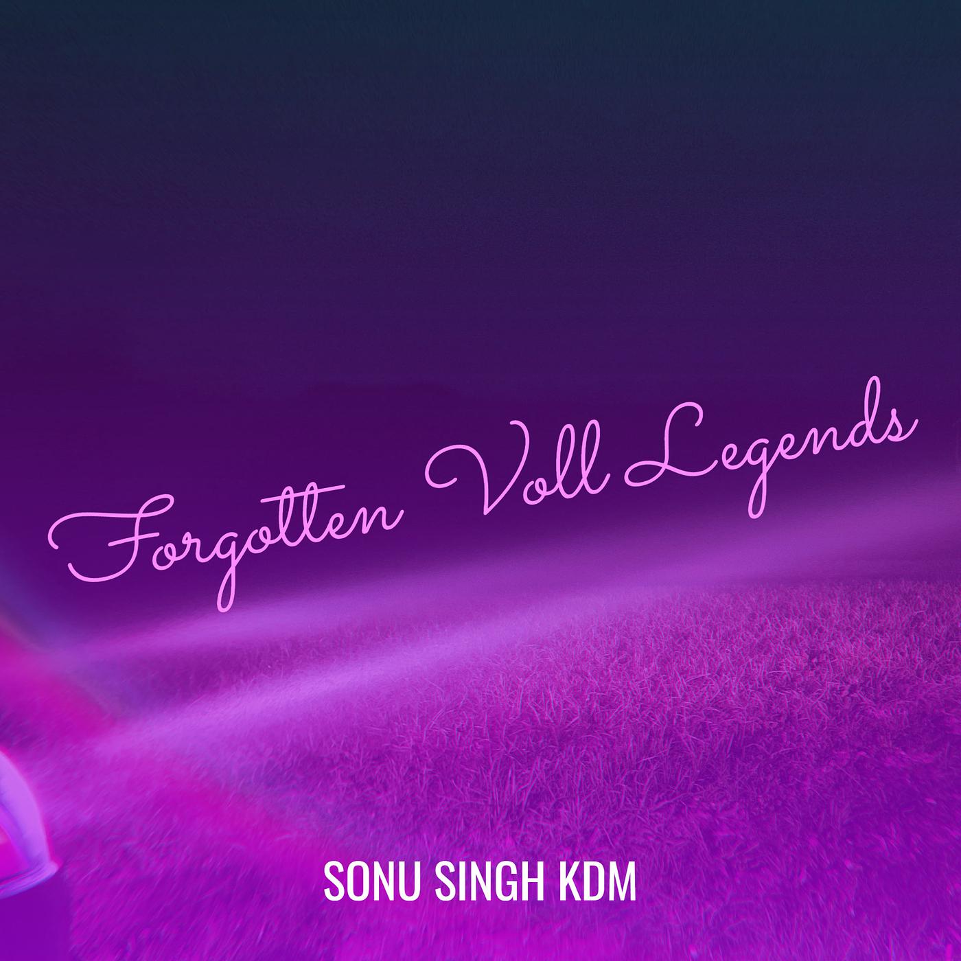Постер альбома Forgotten Voll Legends