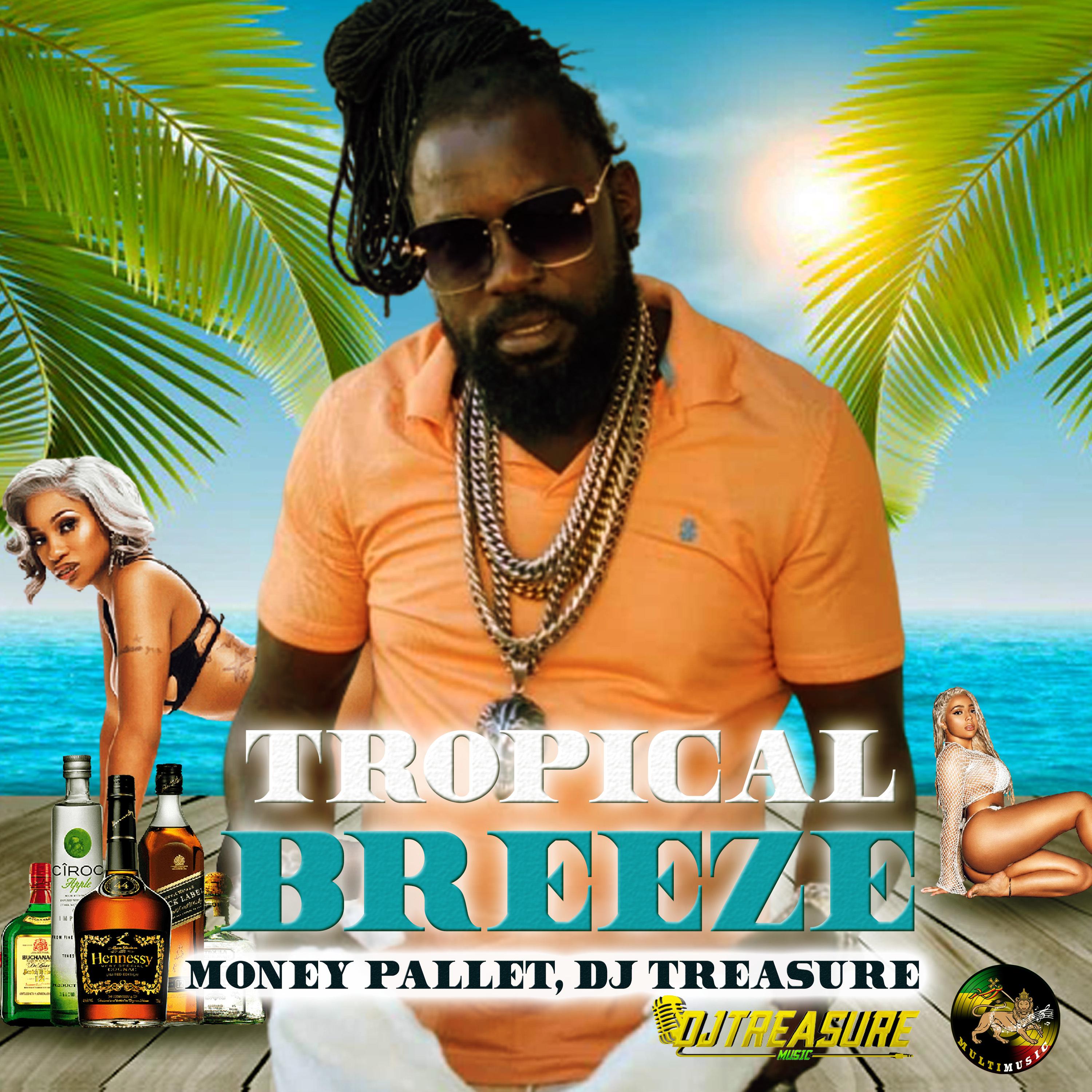 Постер альбома Tropical Breeze