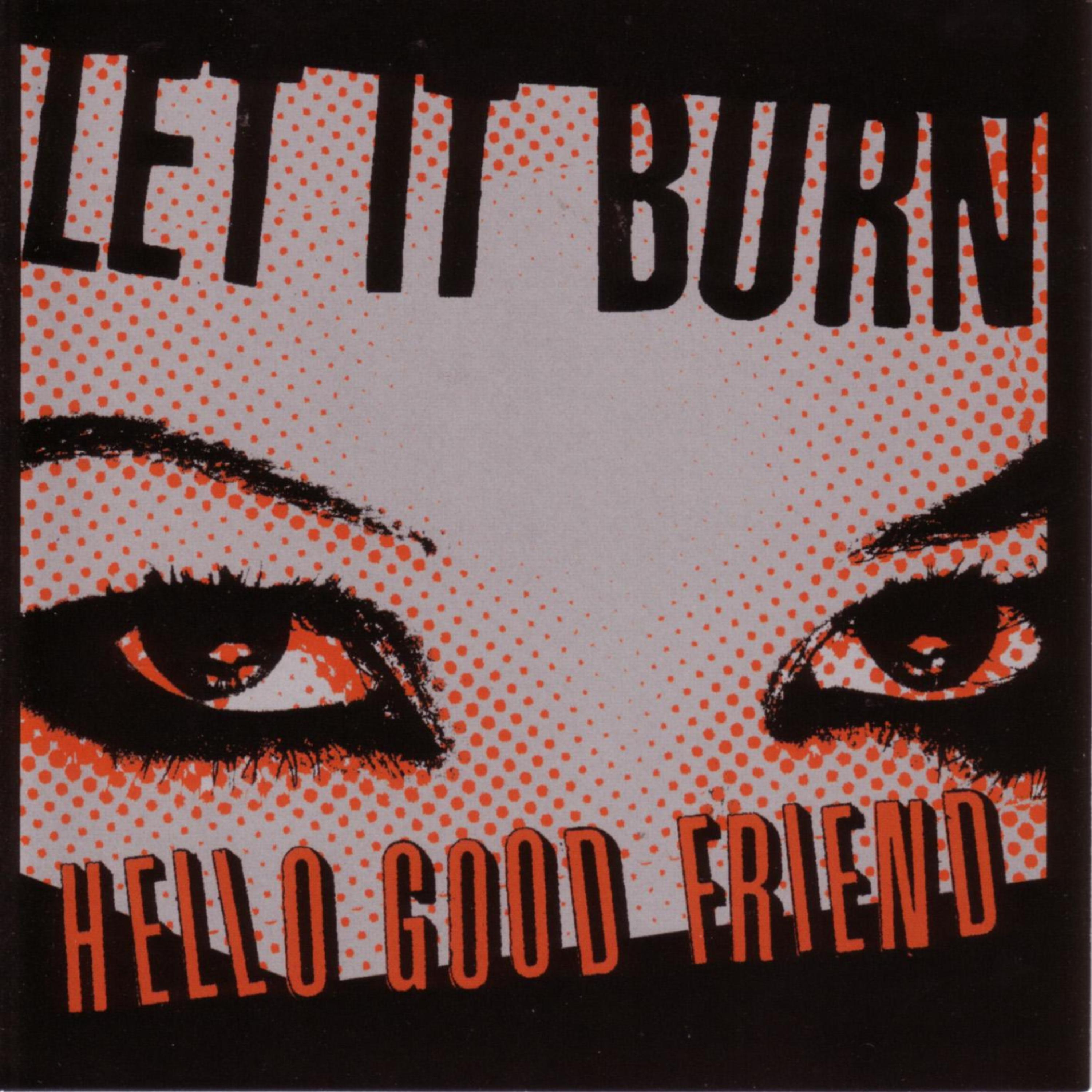 Постер альбома Hello Good Friend