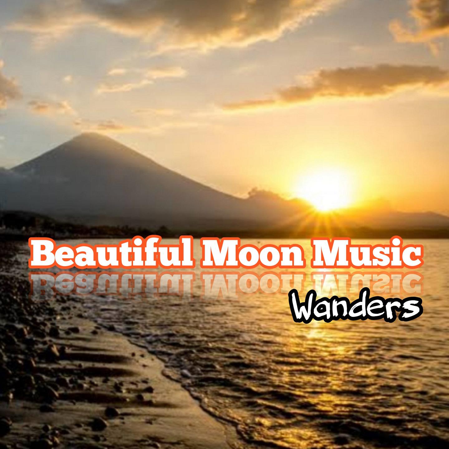 Постер альбома Beautiful Moon Music
