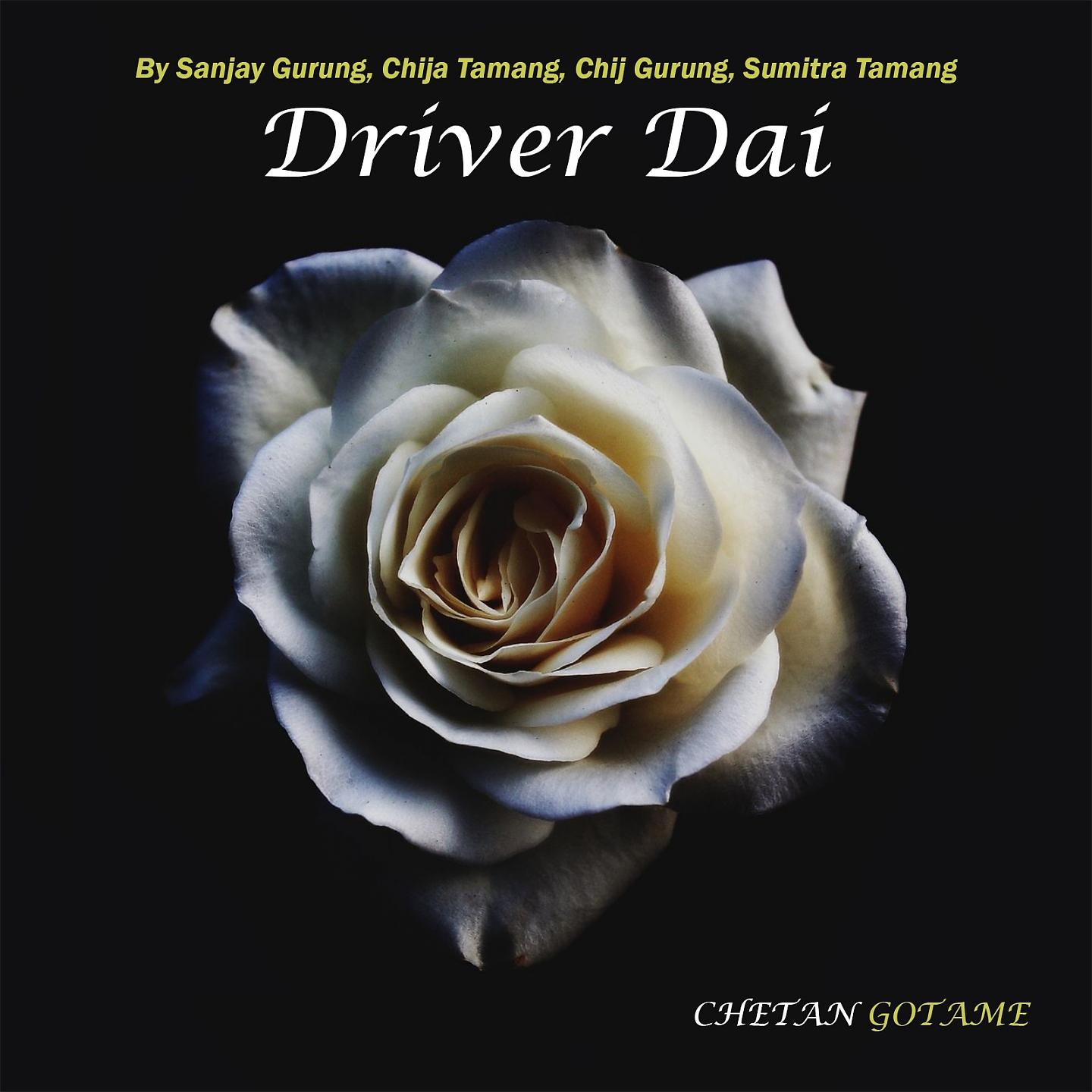 Постер альбома Driver Dai