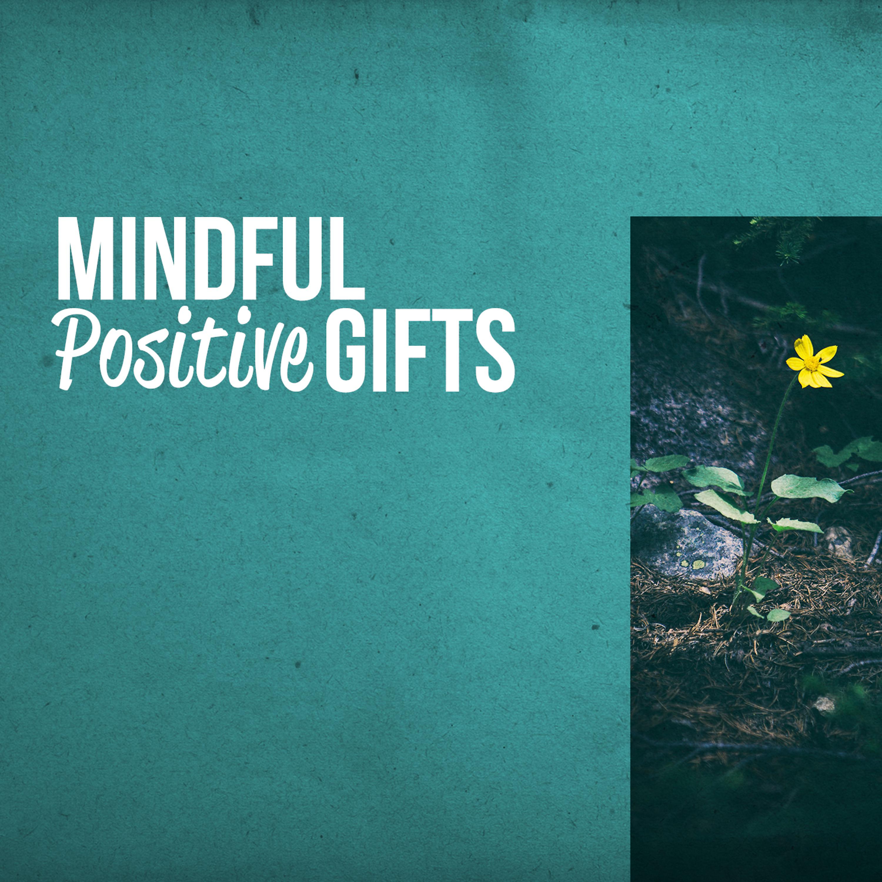 Постер альбома Mindful Positive Gifts