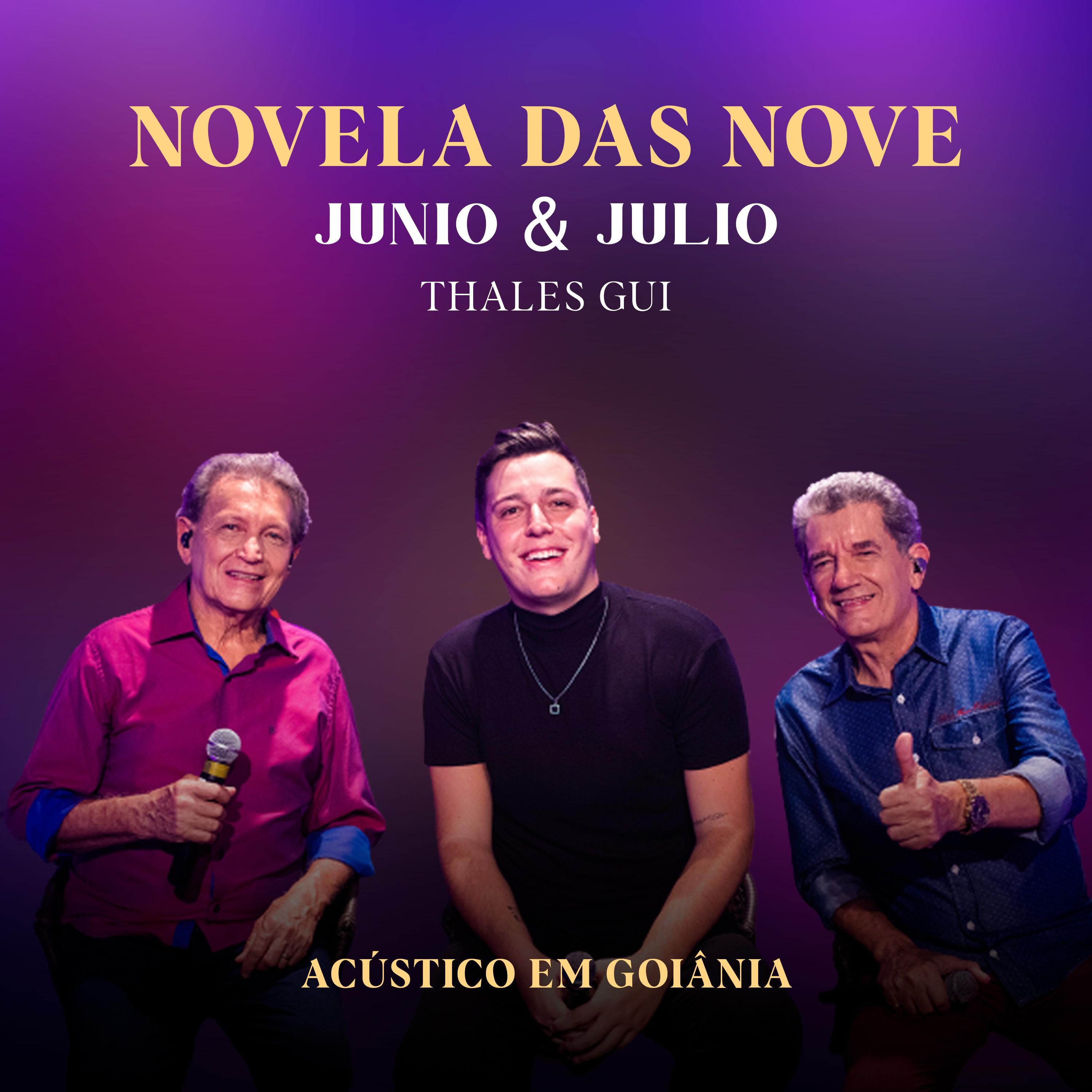 Постер альбома Novela das Nove